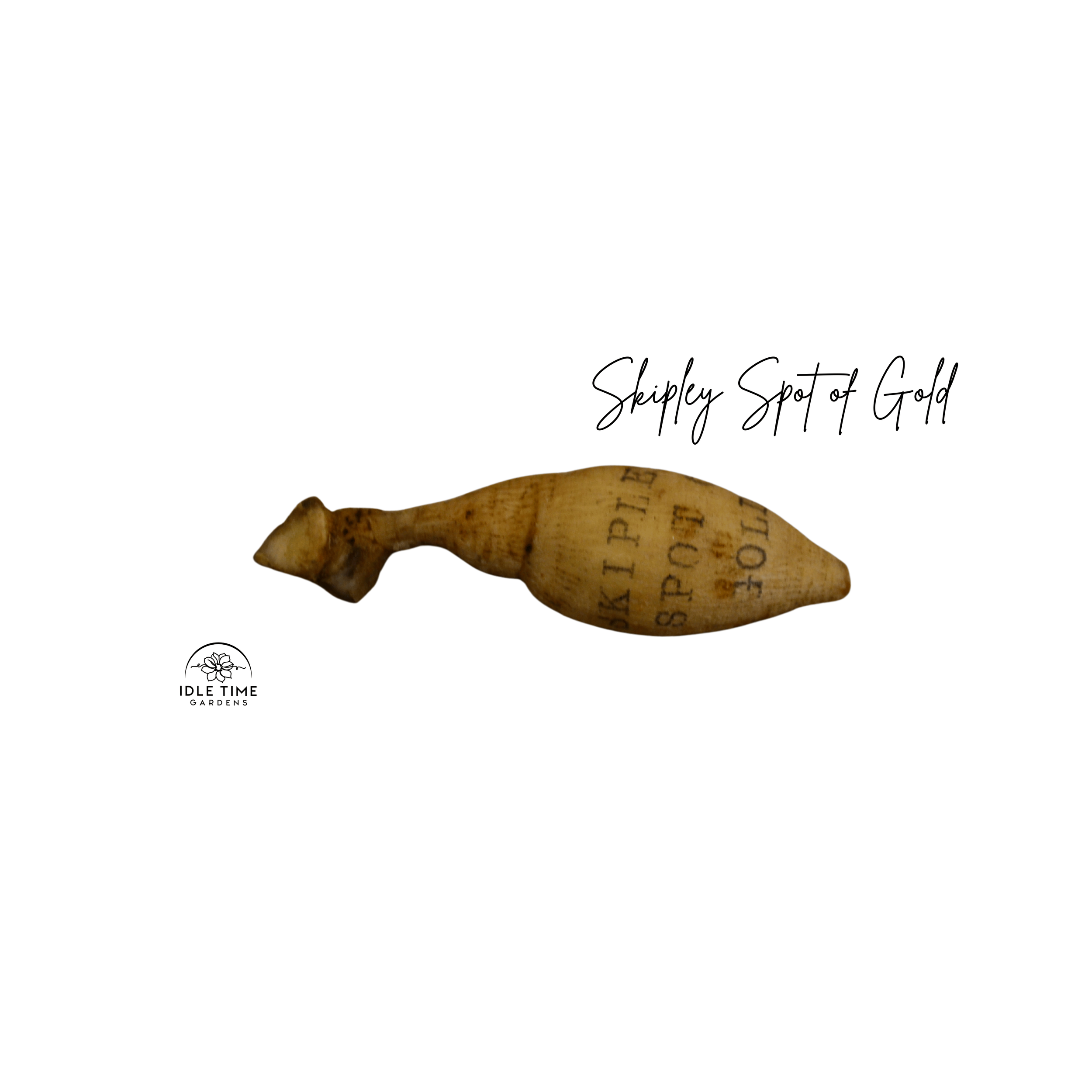 Skipley Spot of Gold Tuber WT.png