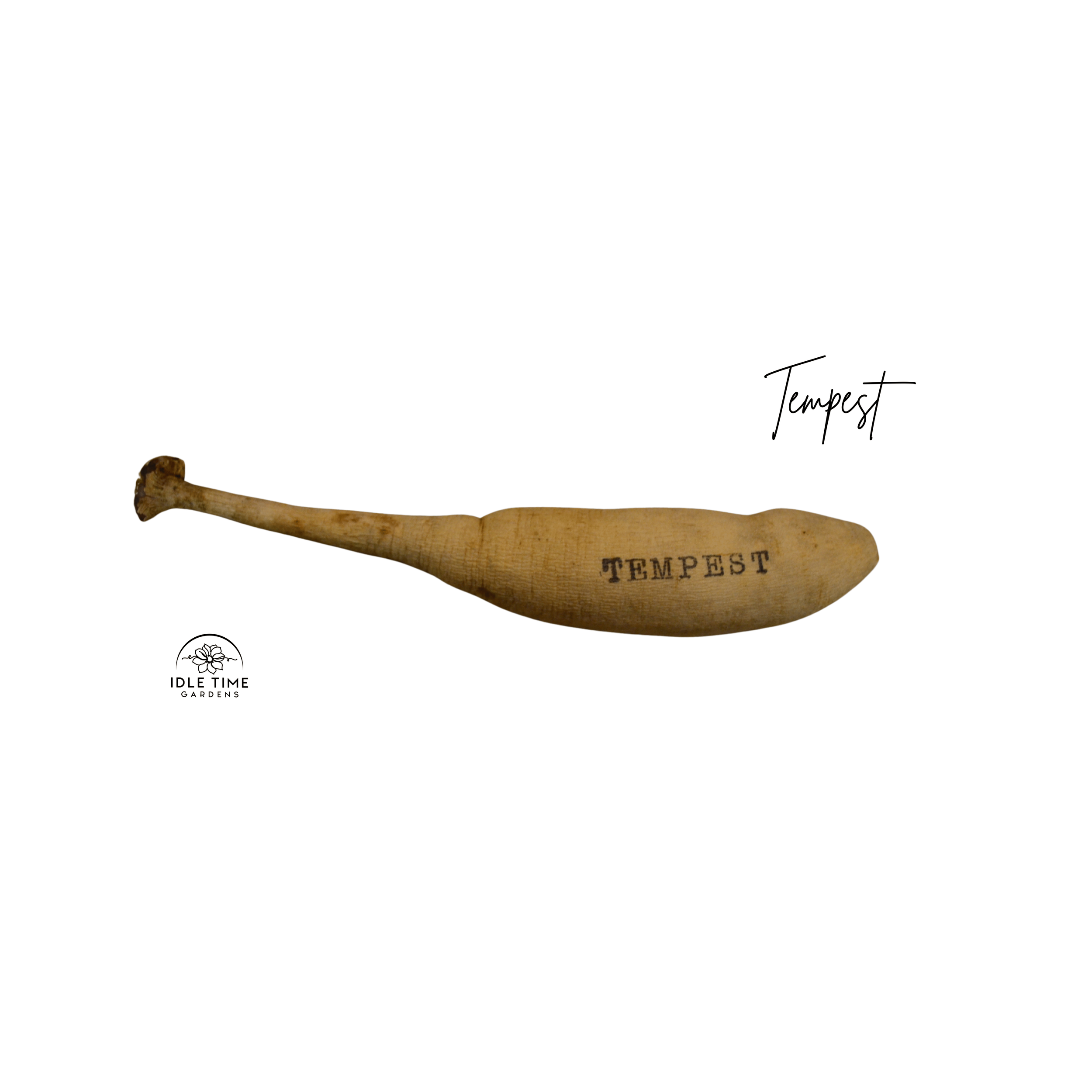 Tempest Tuber WT.png