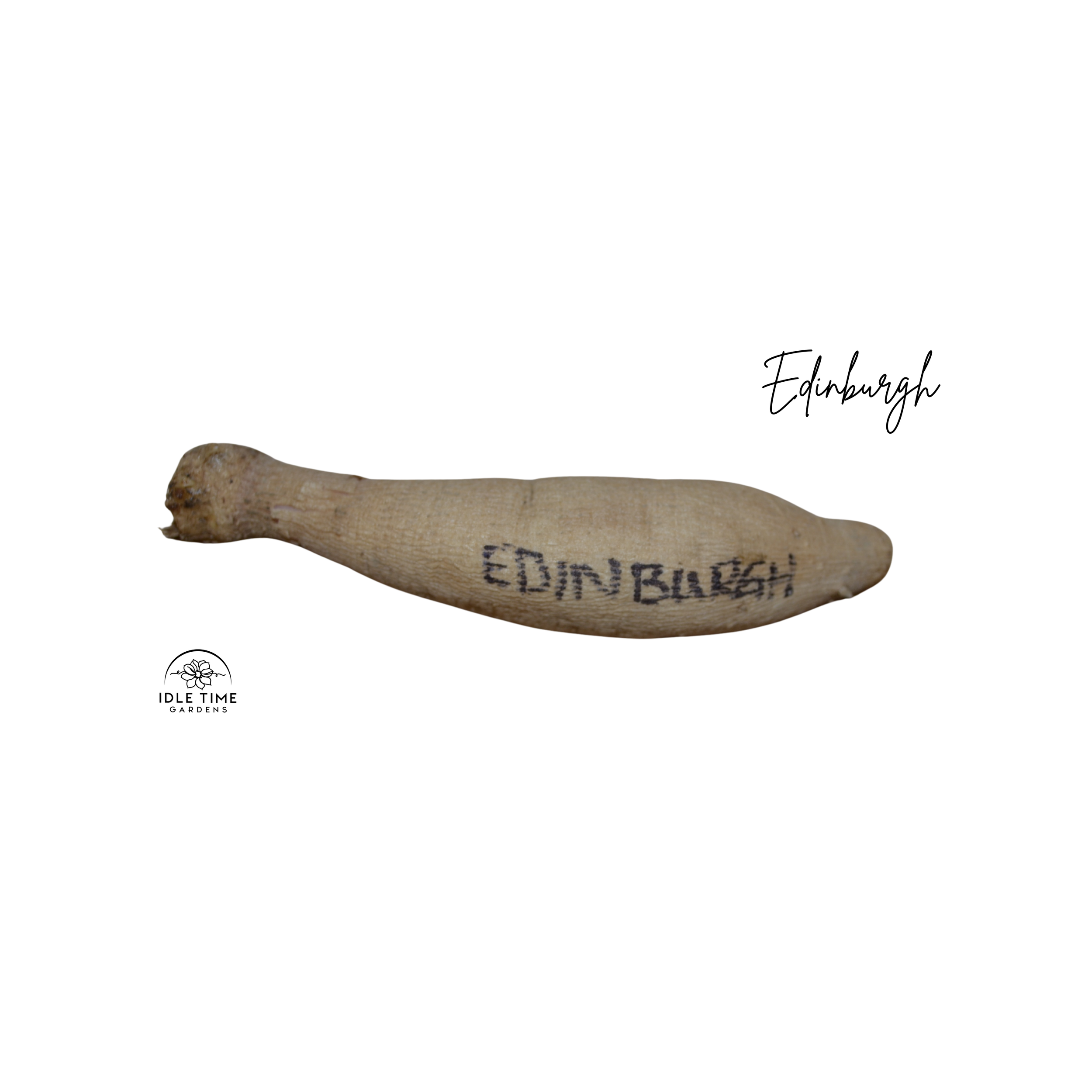 Edinburgh Tuber WT.png