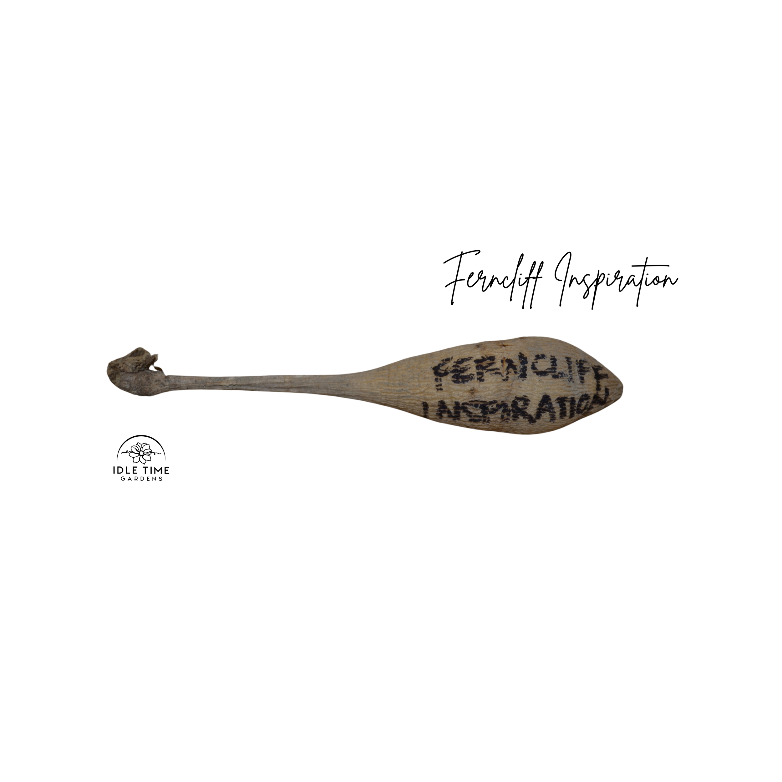 Ferncliff Inspiration Tuber WT.png