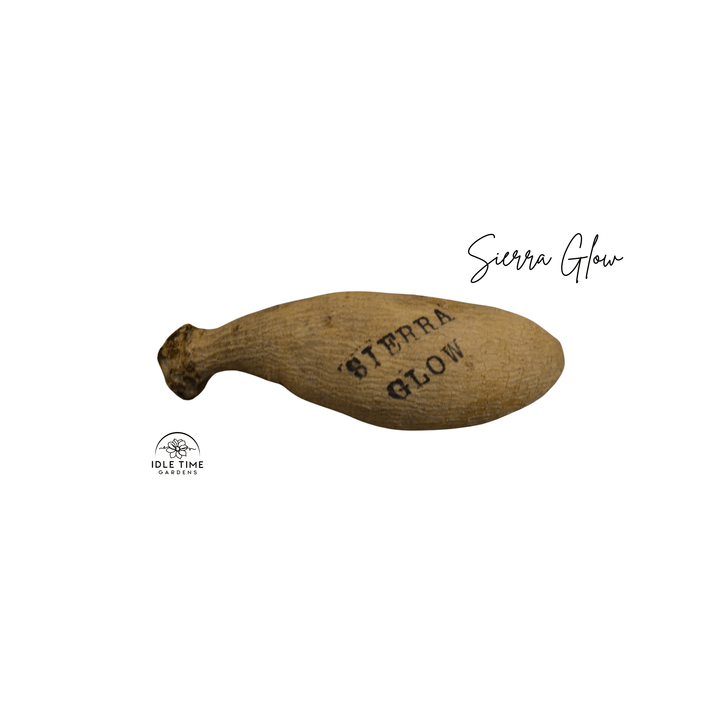 Sierra Glow Tuber WT.png