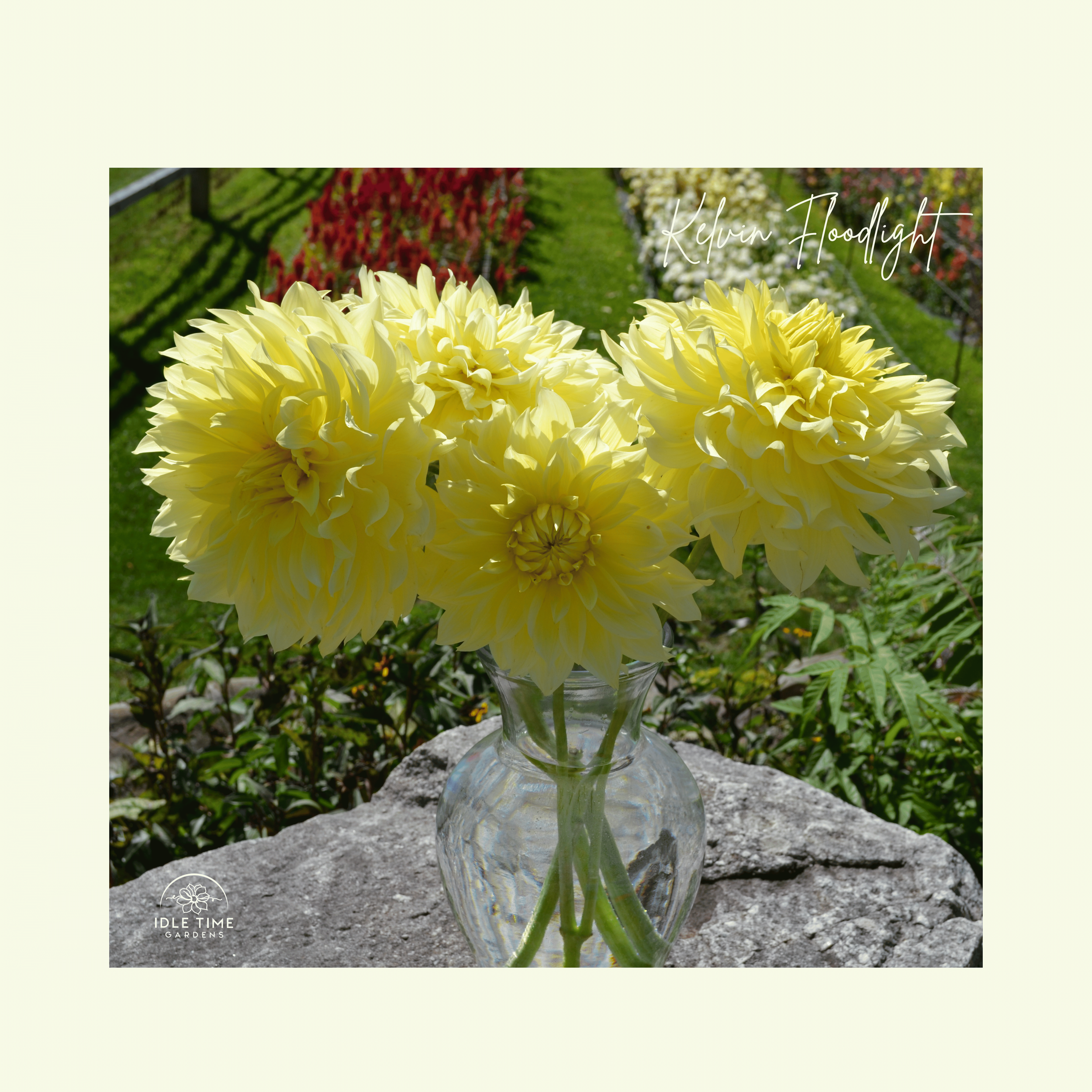 Kelvin Floodlight - Bunch.png