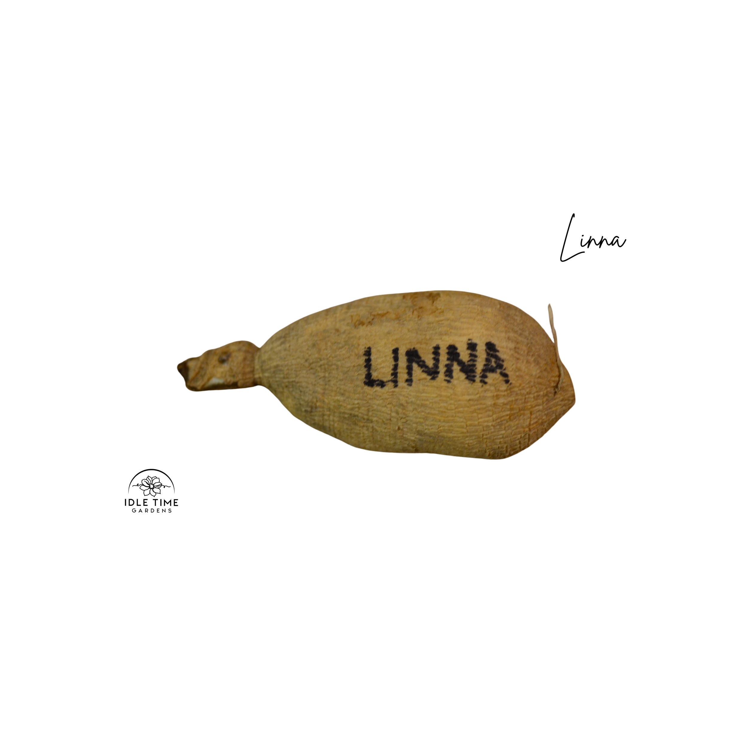 Linna Tuber WT.png