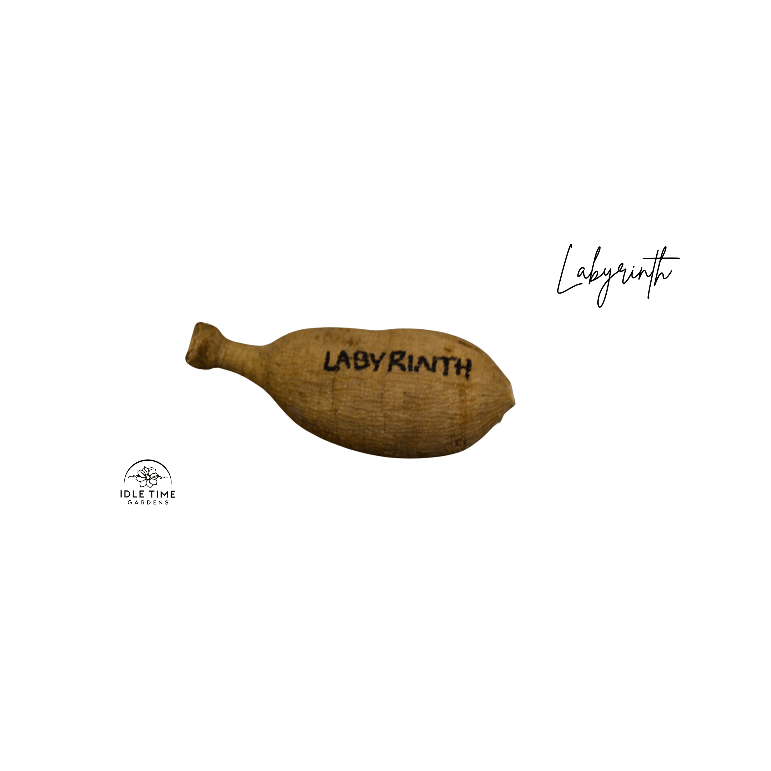 Labyrinth Tuber WT.png