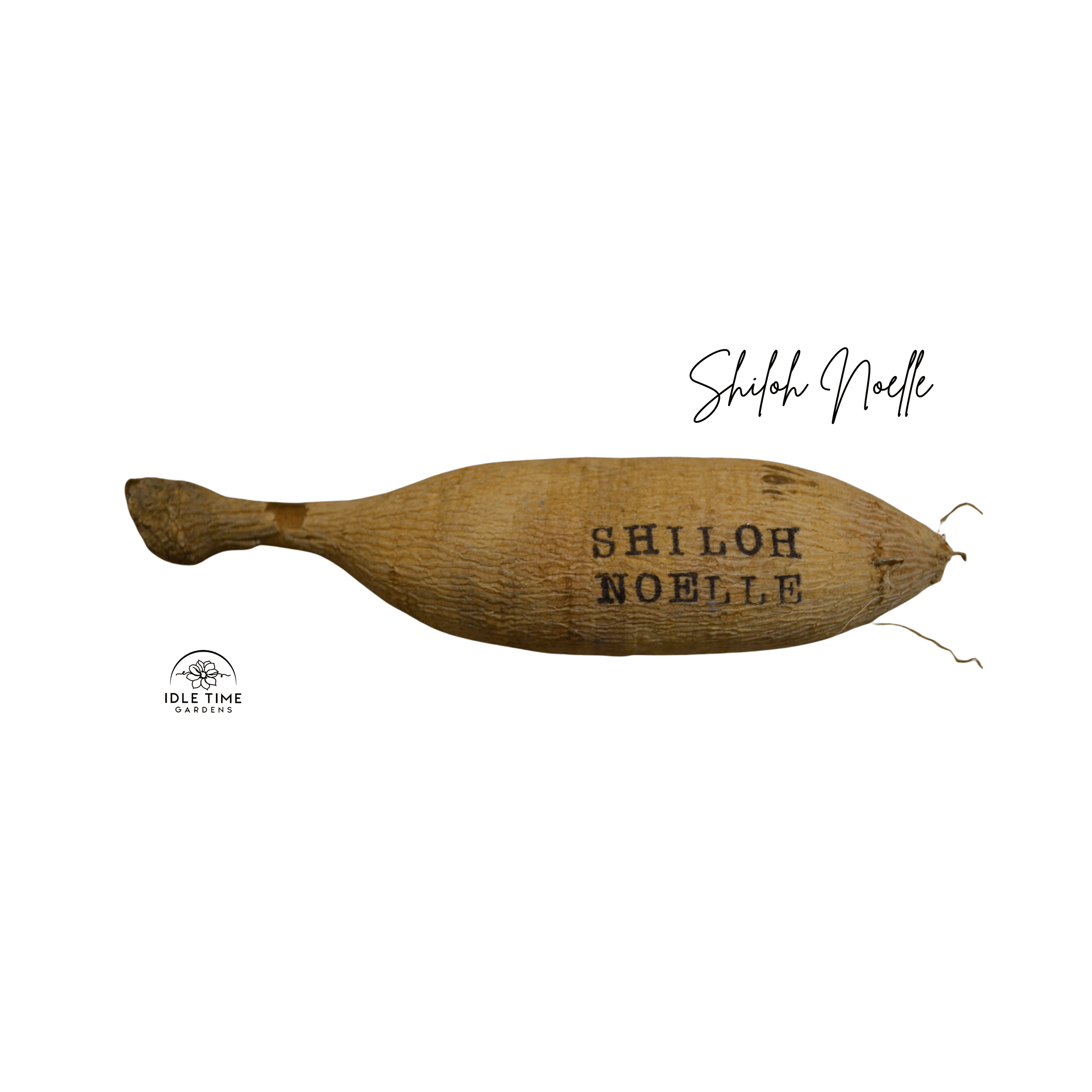 Shiloh Noelle Tuber WT.png