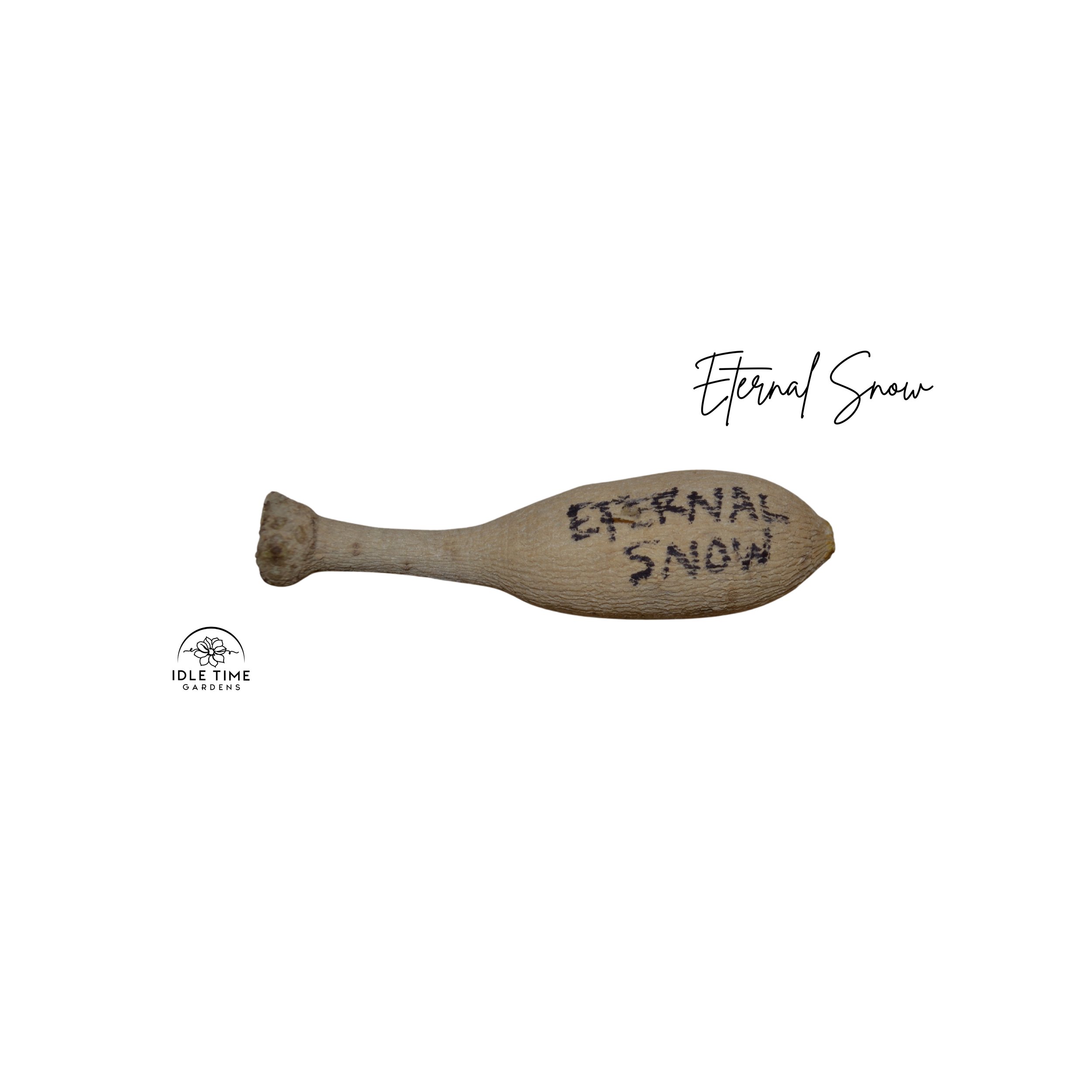 Eternal Snow Tuber WT.png
