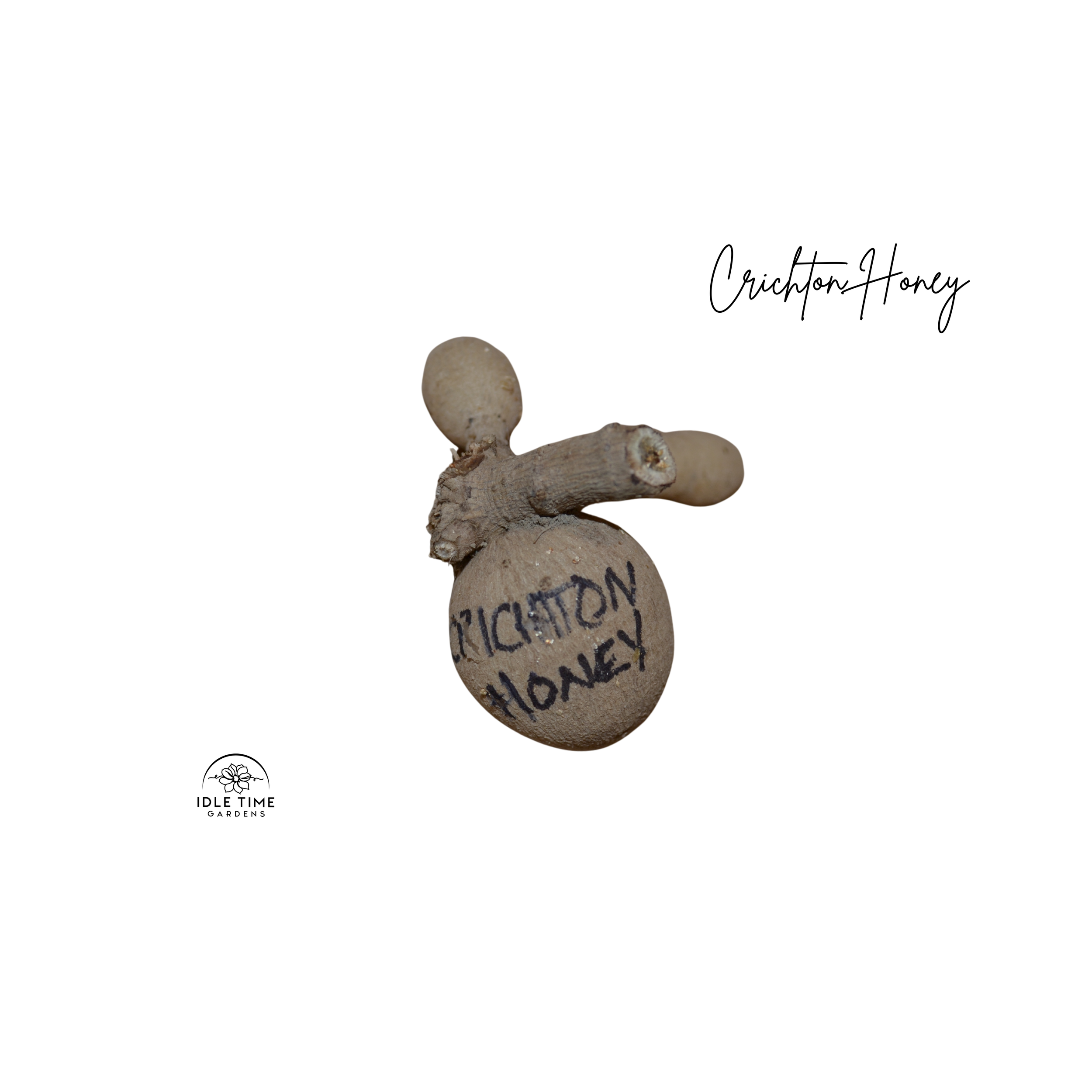 Crichton Honey Tuber WT.png