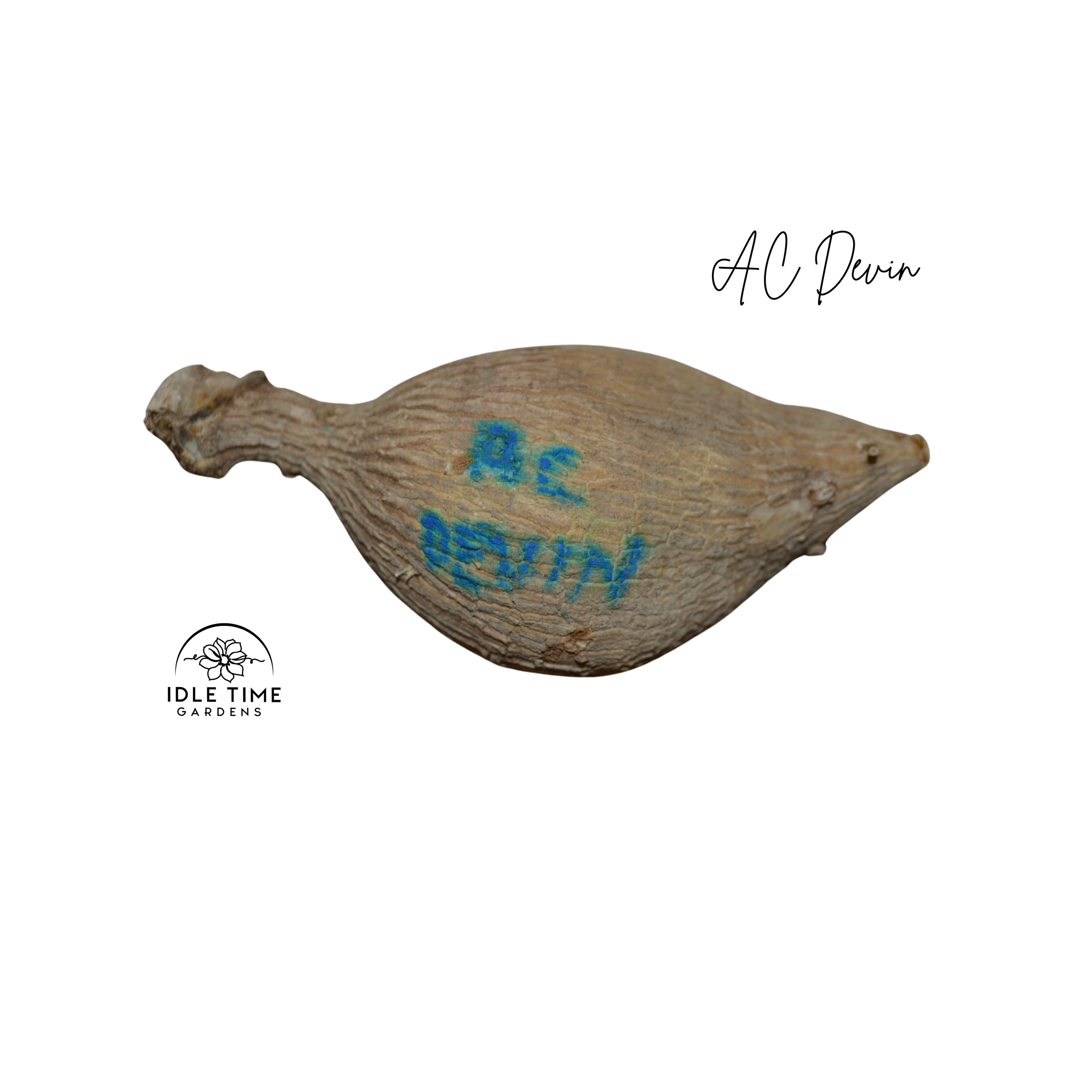 AC Devin Tuber WT.png