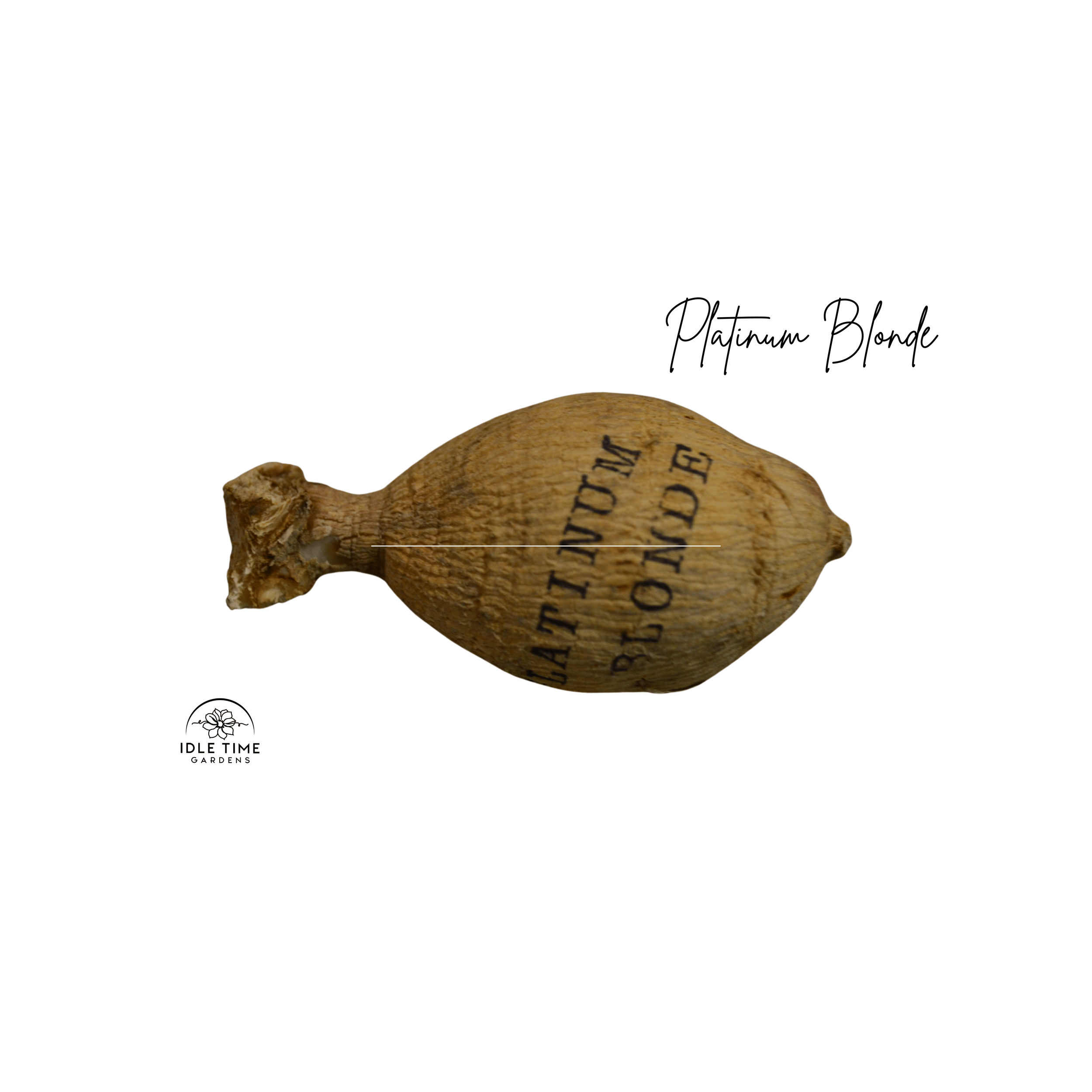 Platinum Blonde Tuber WT.png