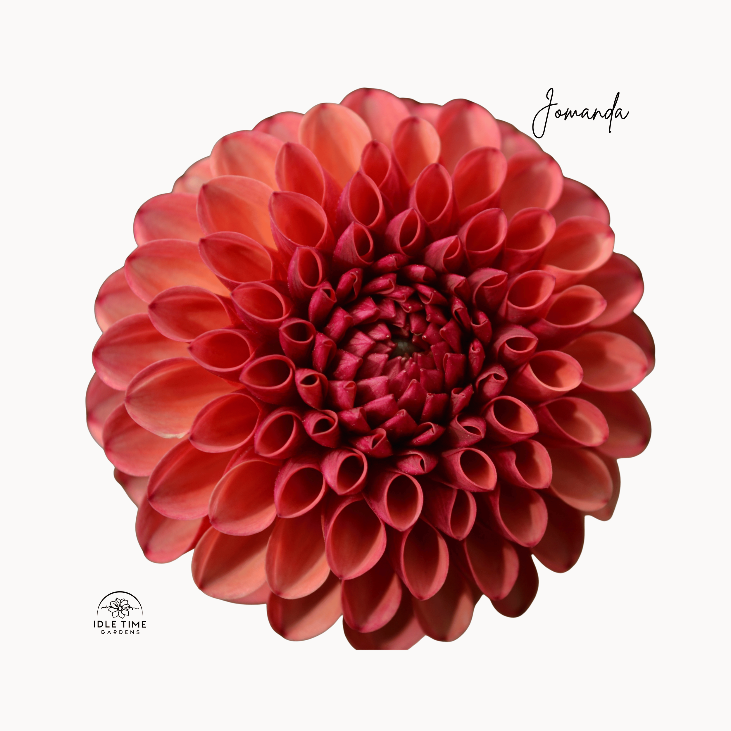 Jomanda - Single.png