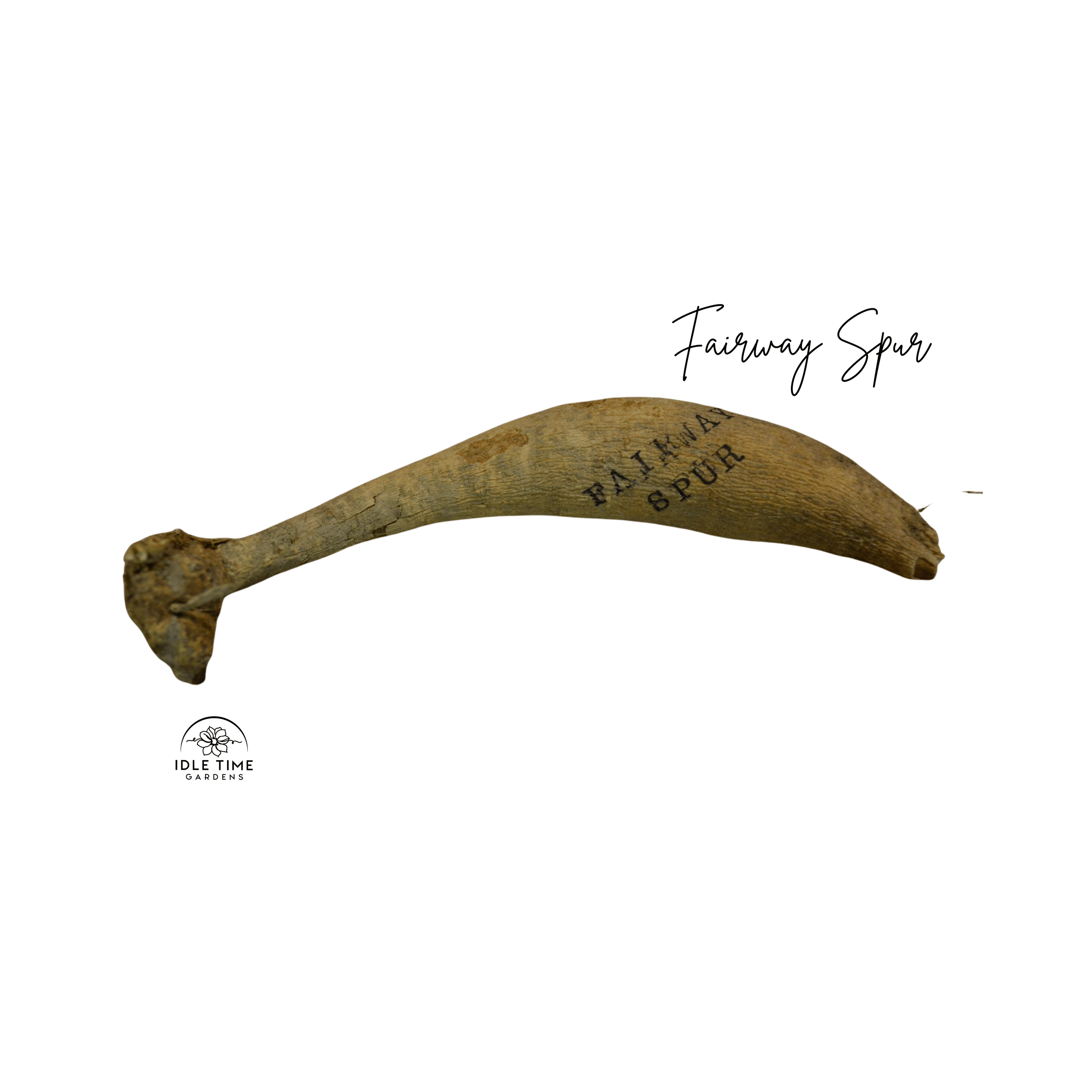 Fairway Spur Tuber WT.png