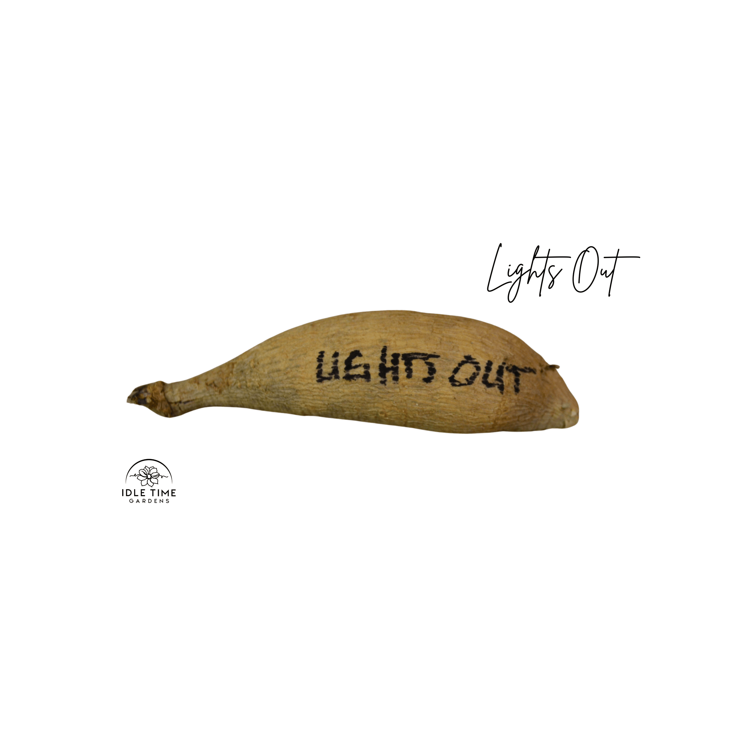 Lights Out Tuber WT.png