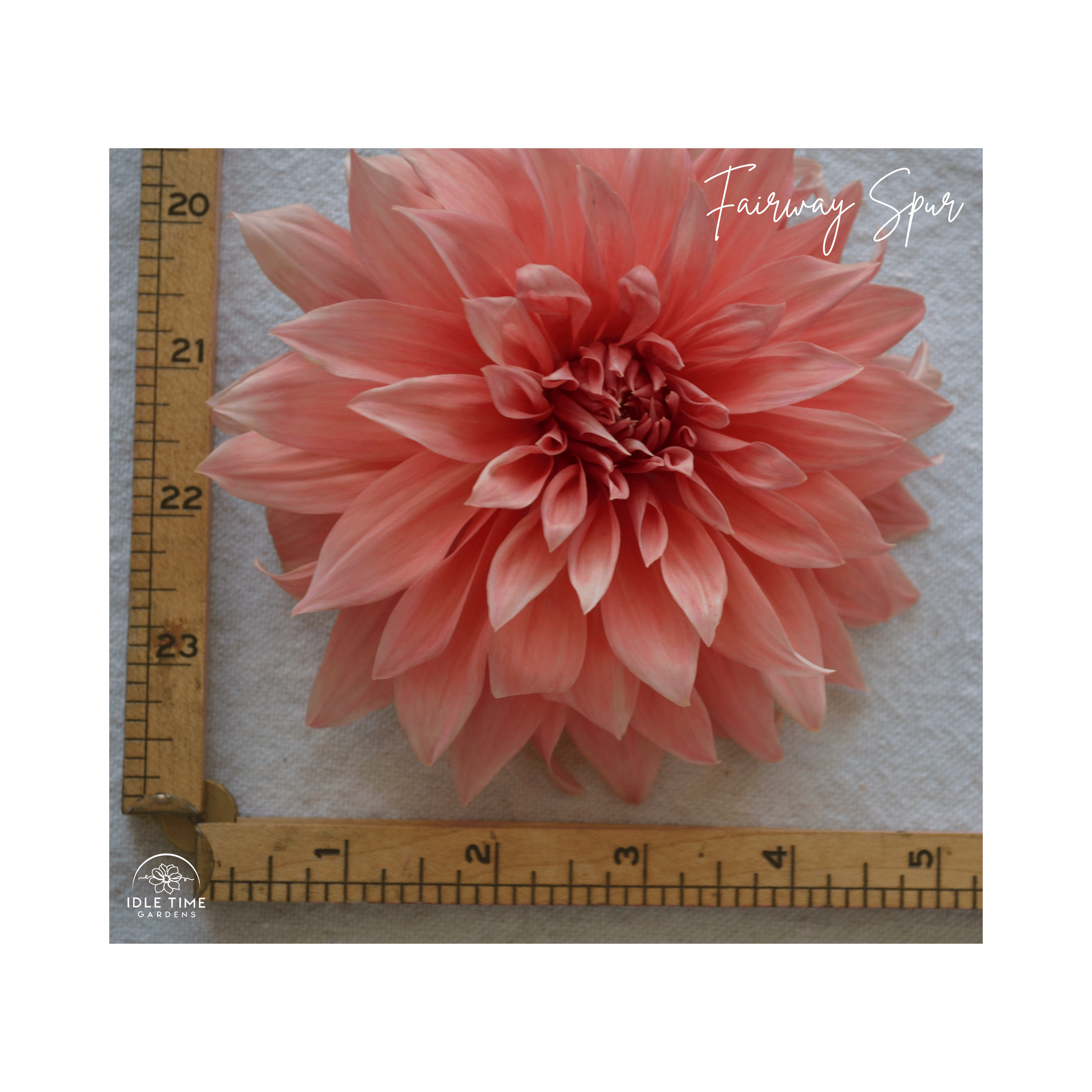 Fairway Spur - Measure.png