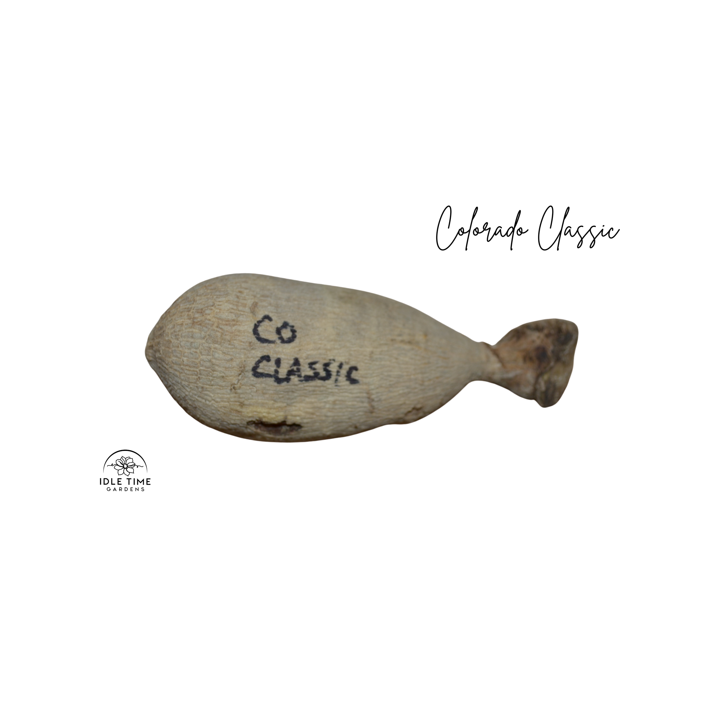 Colorado Classic Tuber WT.png