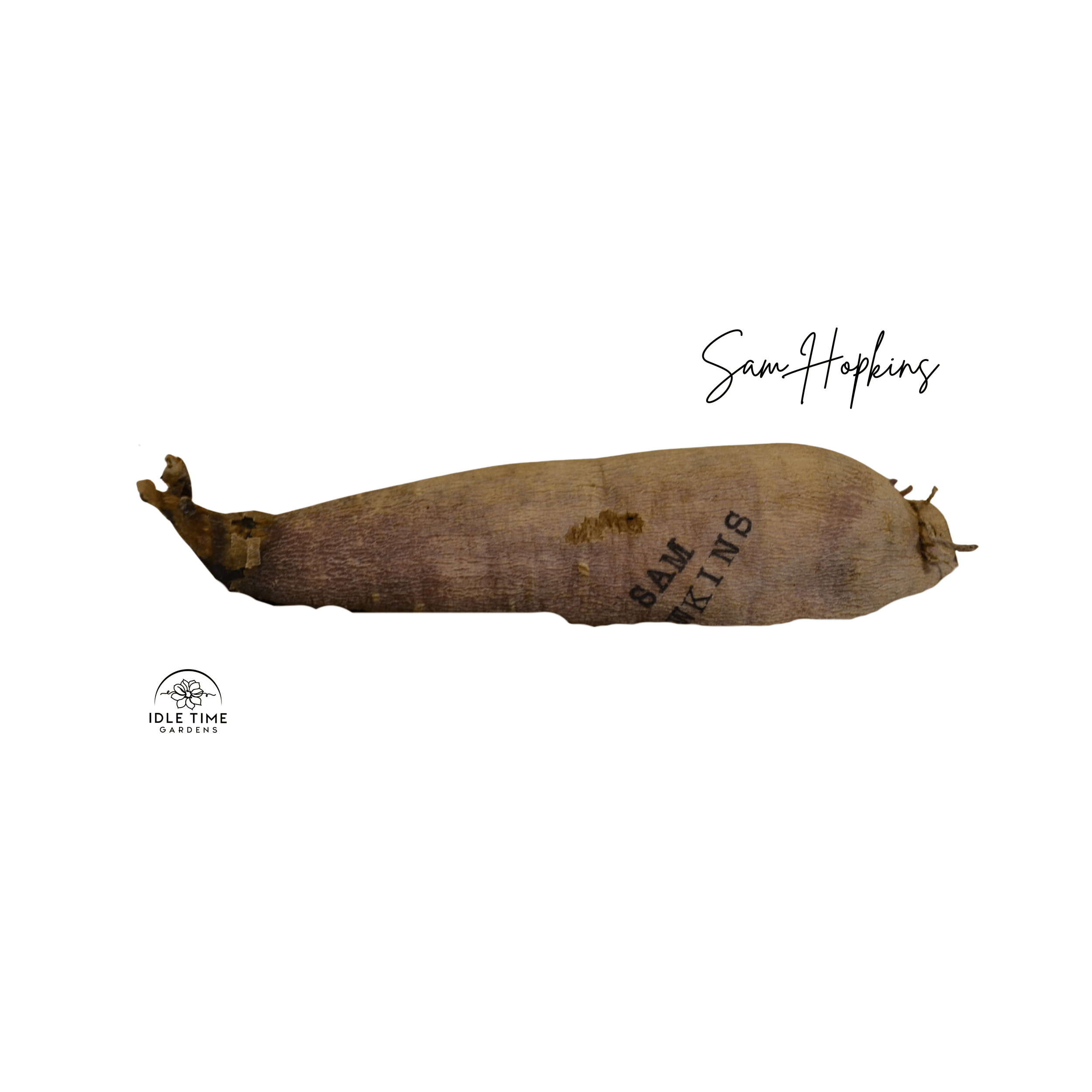 Sam Hopkins Tuber WT.png