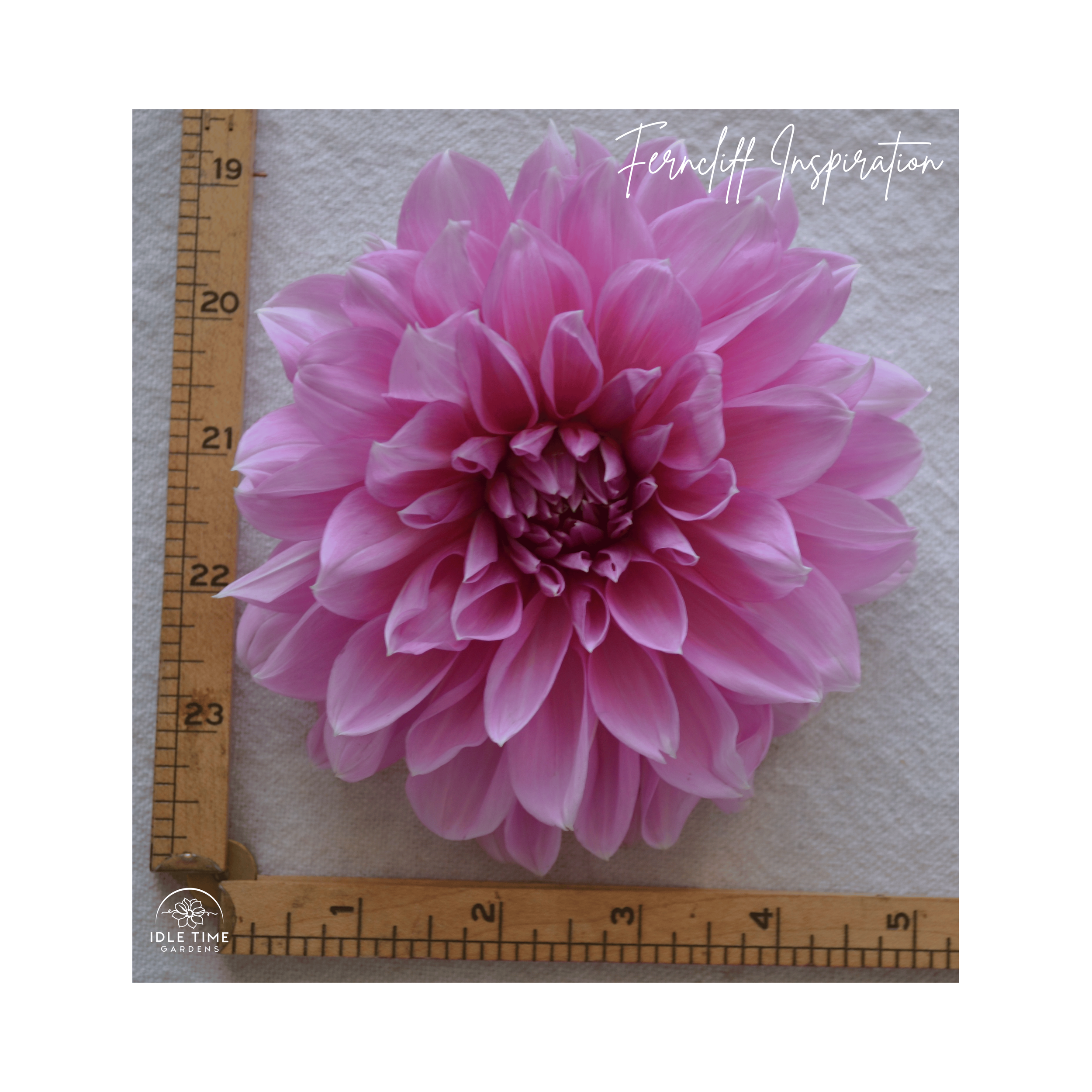 Ferncliff Inspiration