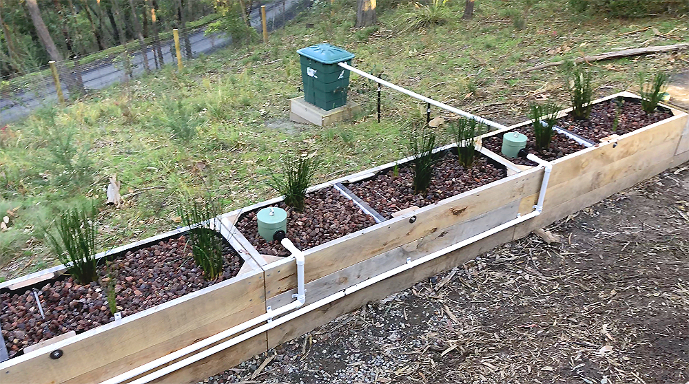 Reed Bed Freshly Planted in the Yarra Valley, VIC. Designed and Installed by Zenplumb.