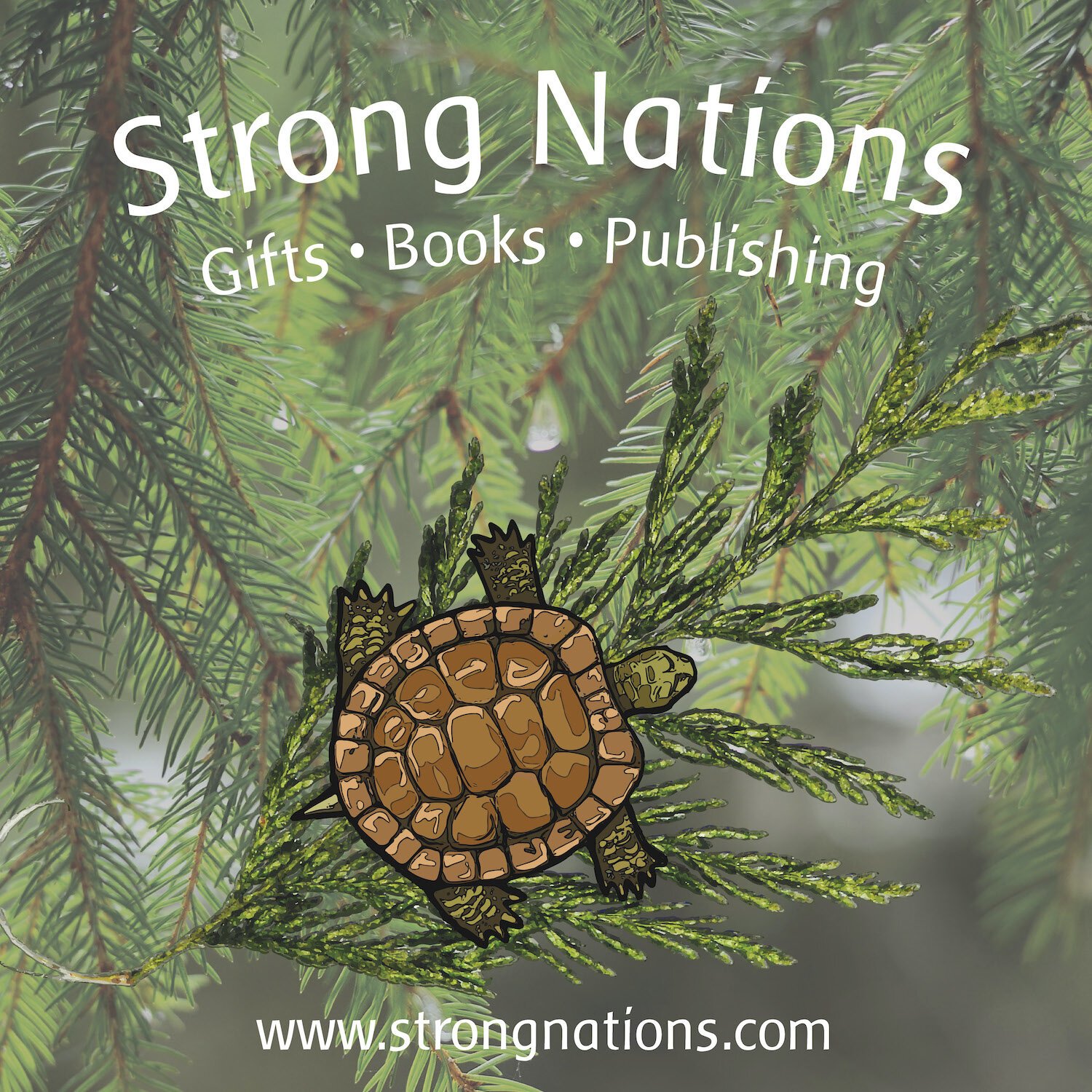 Strong Nations