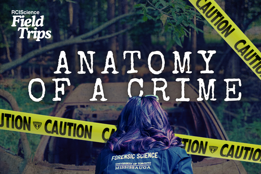 Field Trips: Anatomy of a Crime