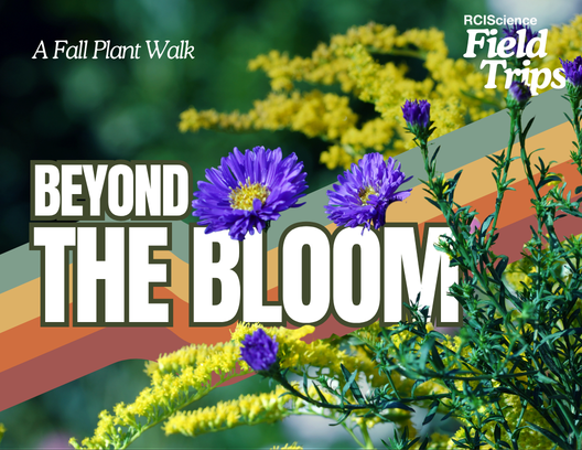 Field Trips: Beyond the Bloom