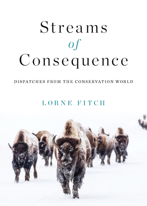 Streams of Consciousness.png