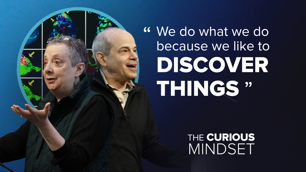 The Curious Mindset: Inside the Discovery of Notch Signalling with Drs. Iva Greenwald and Gary Struhl
