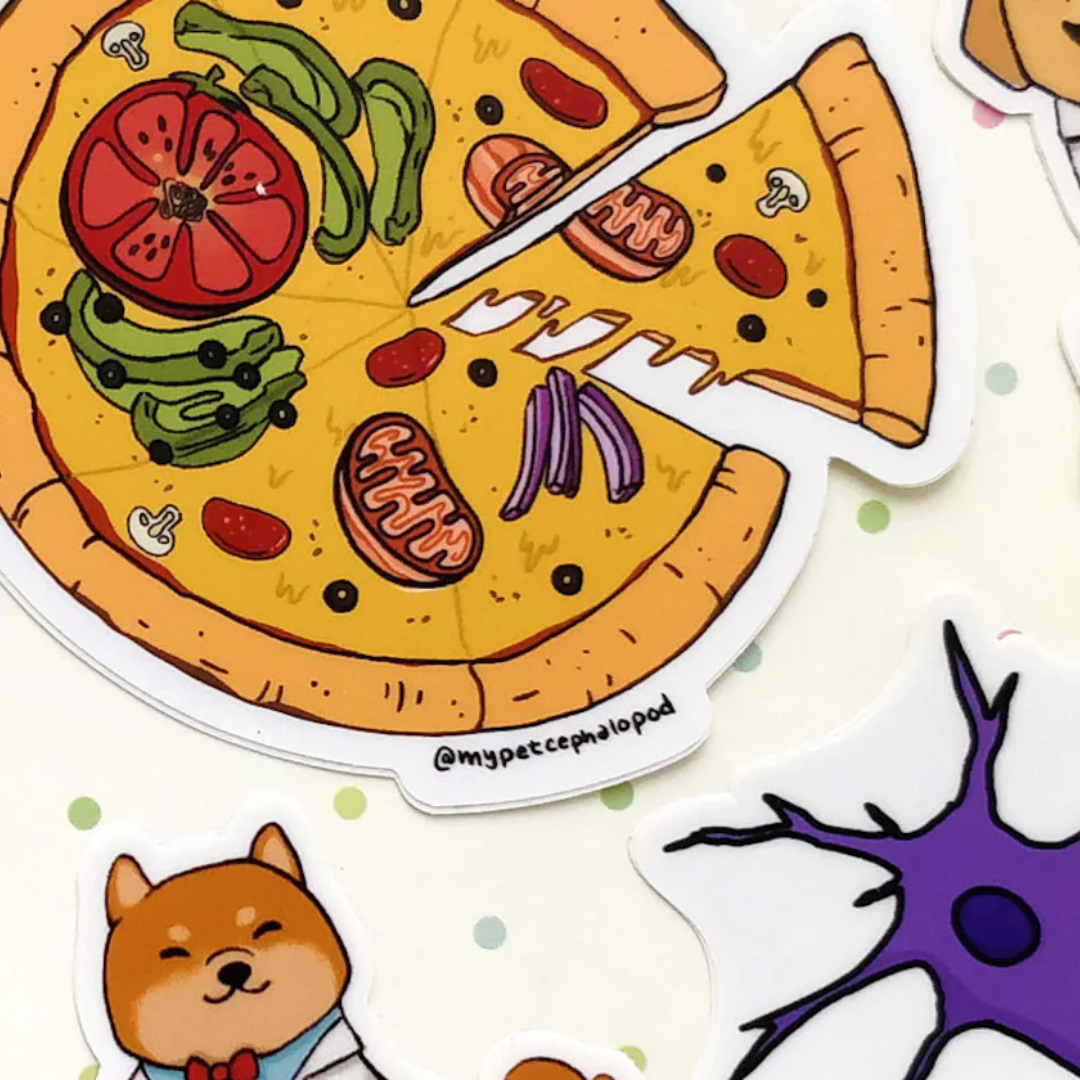 Web Sqaure Images.png