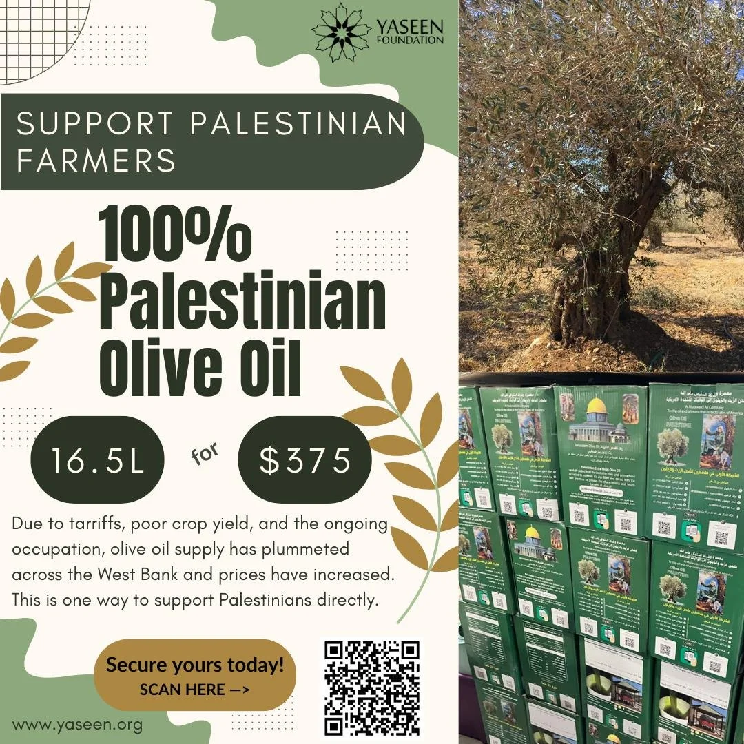 WhatsApp Image 2025-12-18 at 14.12.06.jpeg