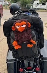 Best Luggage for Two-Up Motorcycle Touring (3 Real-World Picks)