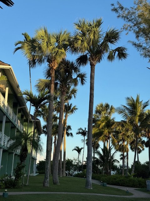 We Don’t Sit Still on Vacation…Until This Trip to Jamaica (Couples Negril Review)