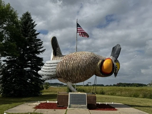 Prairie Chicken.jpeg