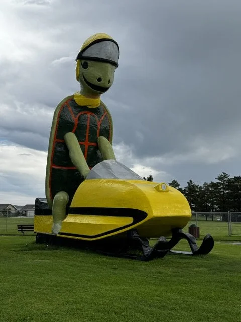 440 Miles, One Turtle, and a Fucking Hailstorm