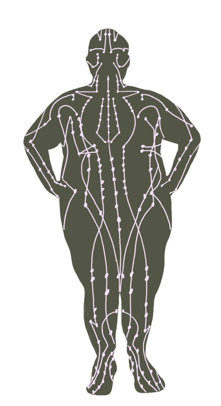 Acupuncture channels
