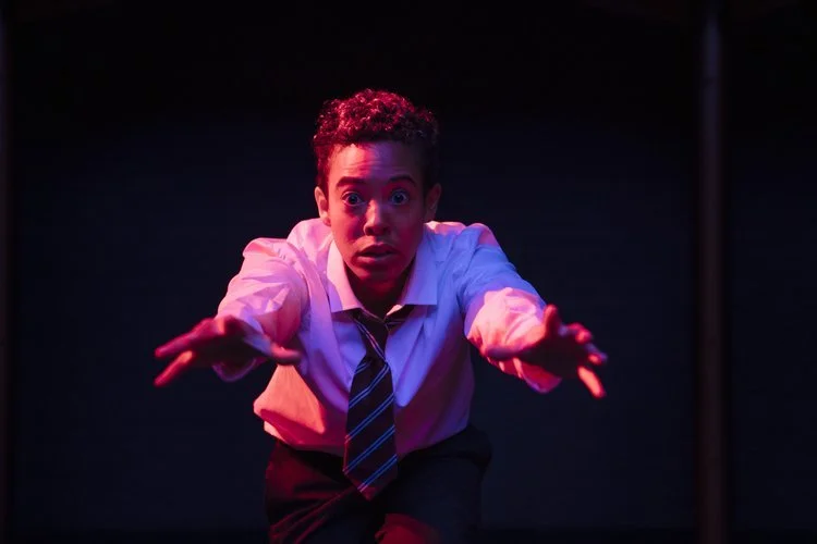 Birds and Bees (FILM)