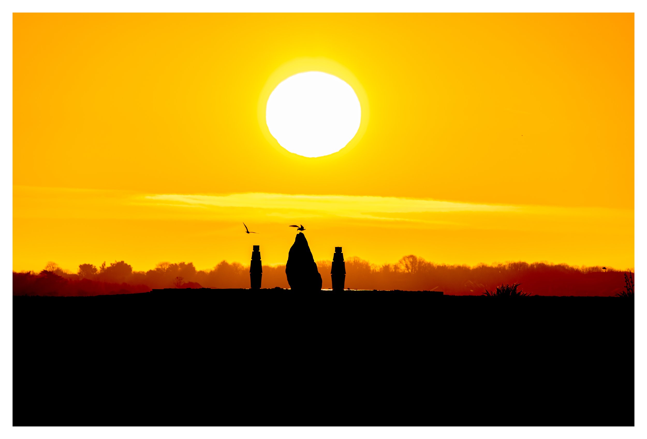 Famine_Memorial_Website_Image.jpg