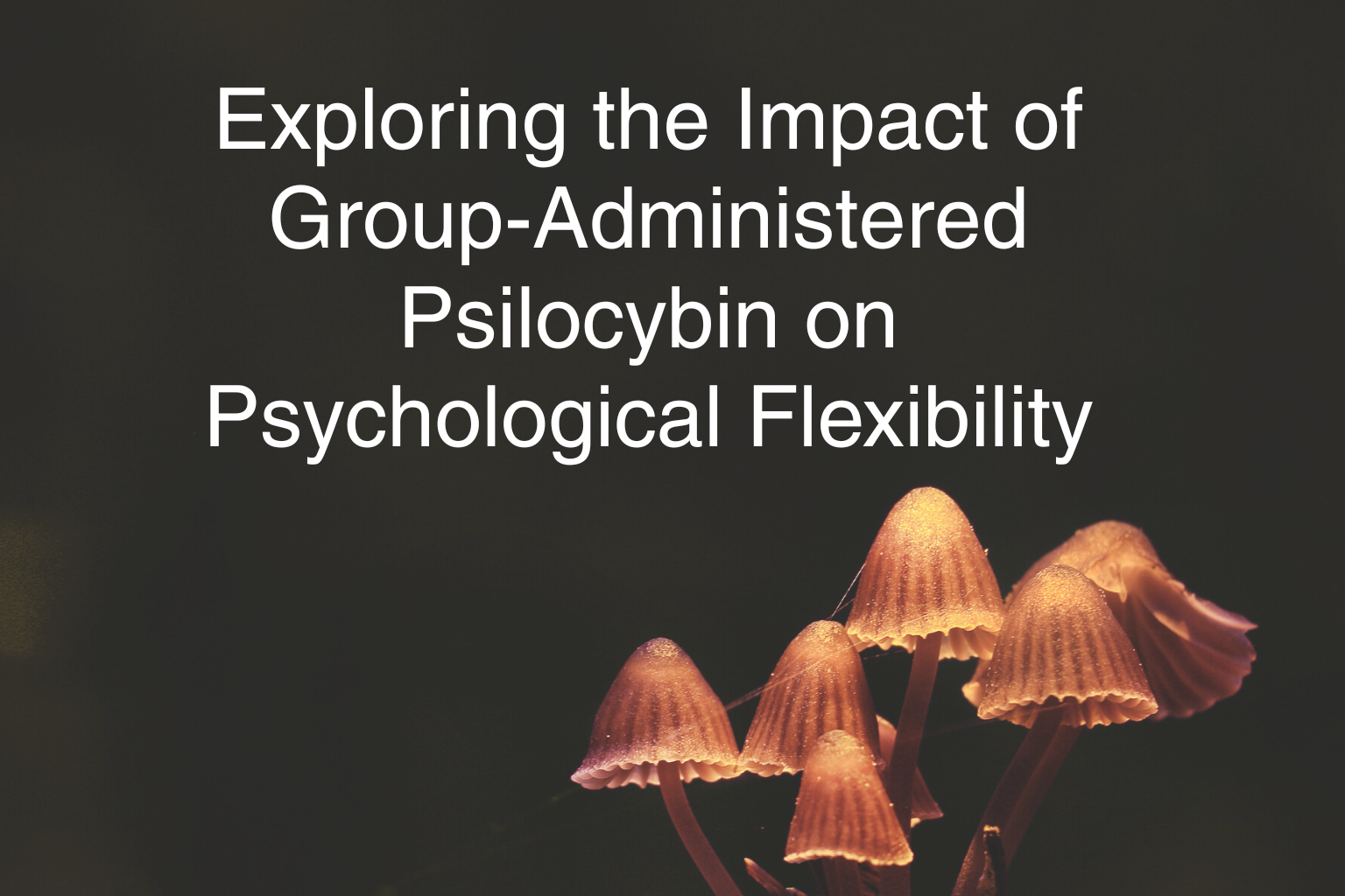 Exploring the Impact of Group-Administered Psilocybin on Psychological Flexibility &nbsp;