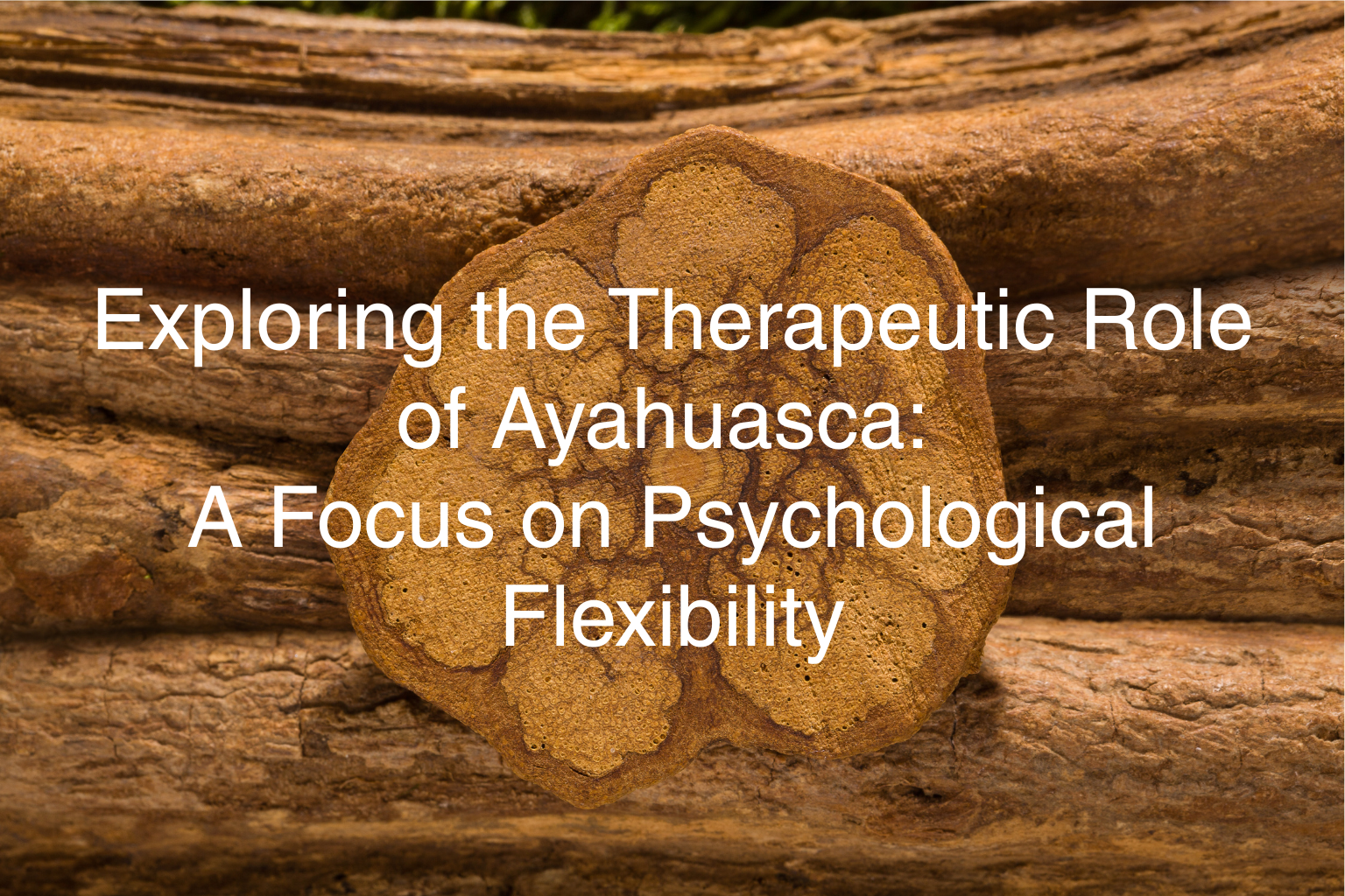 Exploring the Therapeutic Role of Ayahuasca: A Focus on Psychological Flexibility  