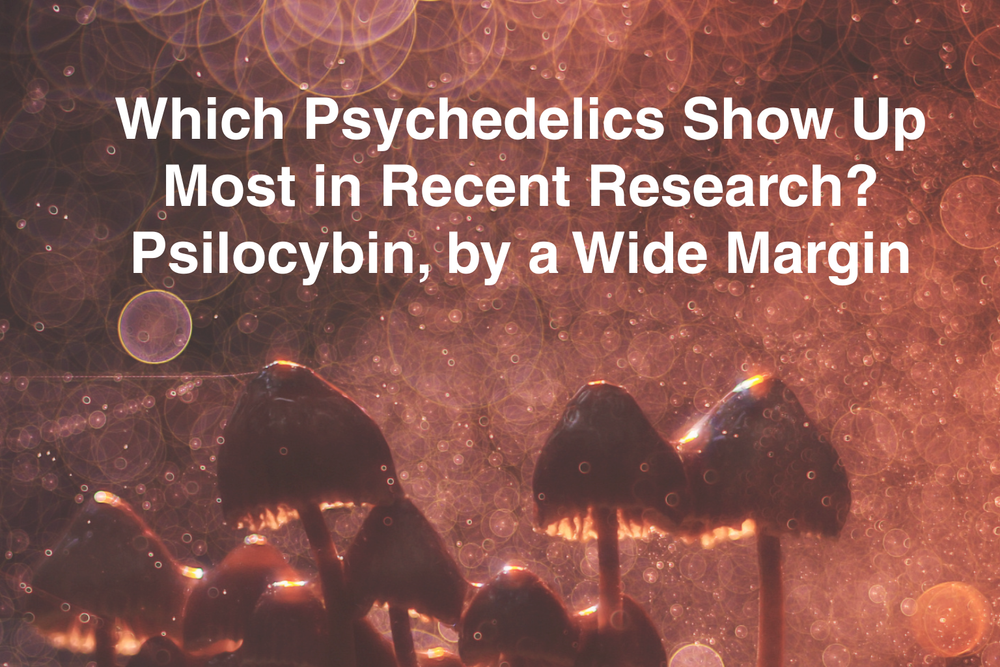 Which Psychedelics Show Up Most in Recent Research? Psilocybin, by a Wide Margin&nbsp;