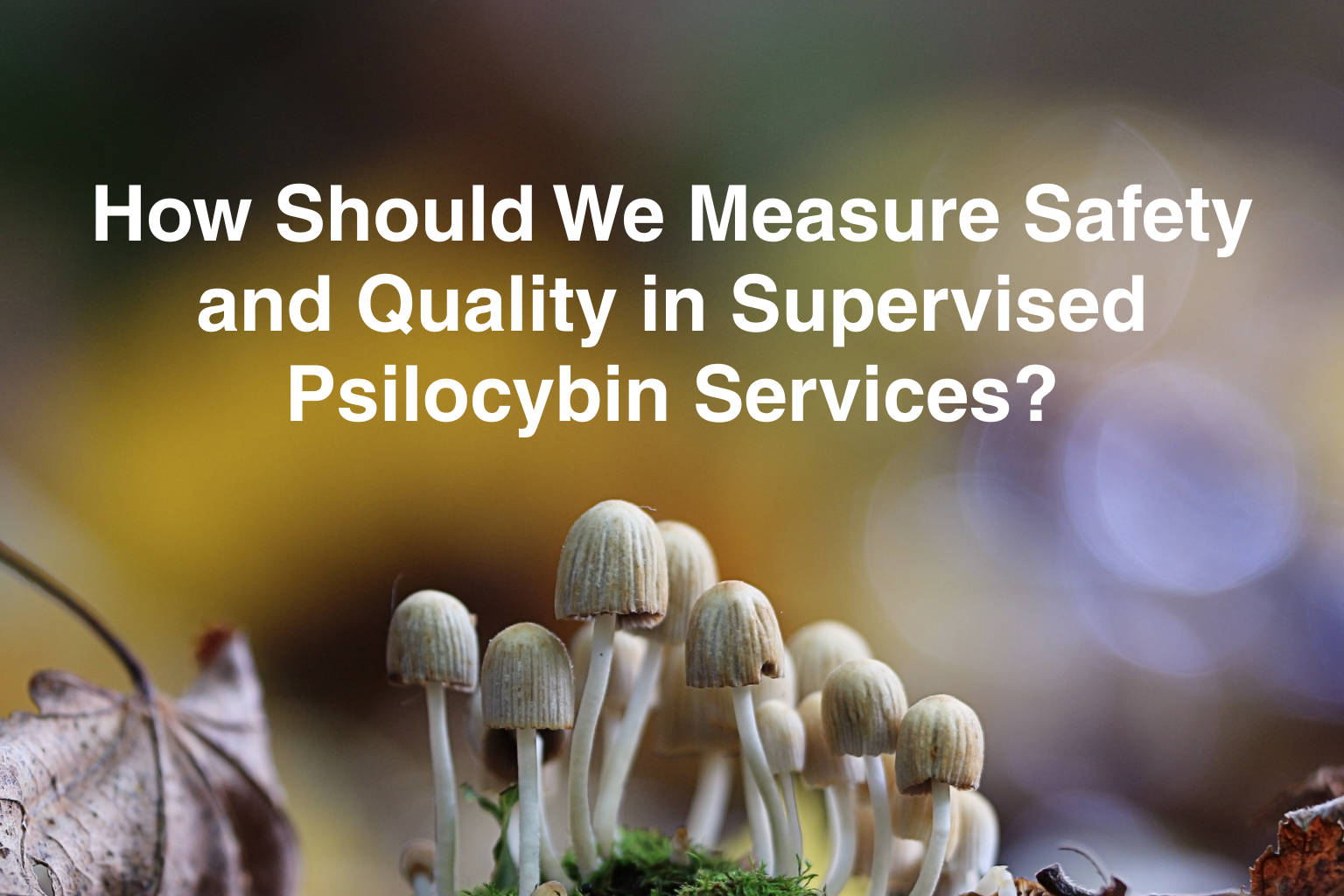 How Should We Measure Safety and Quality in Supervised Psilocybin Services? 