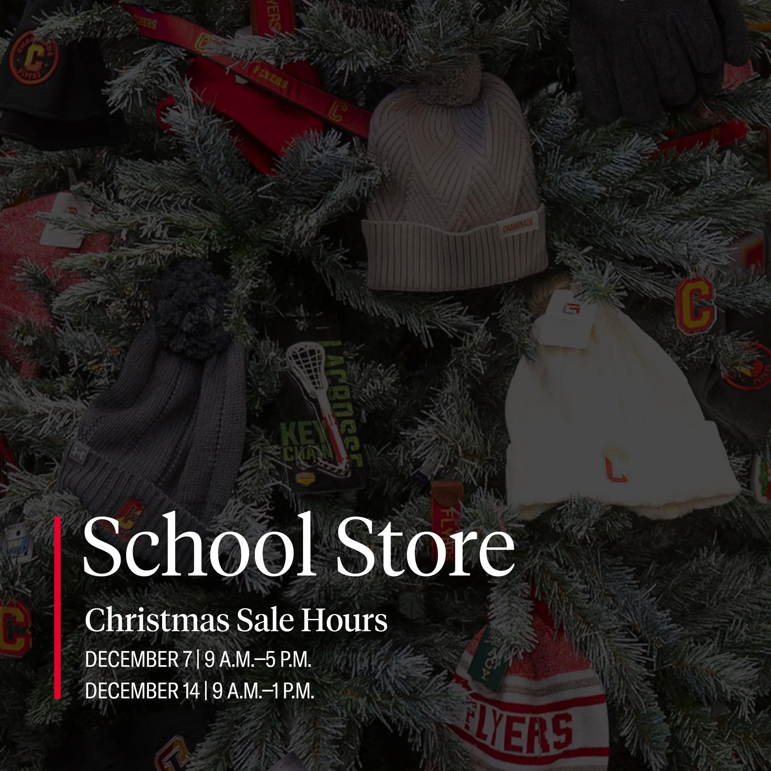schoolstorechristmas24.jpg