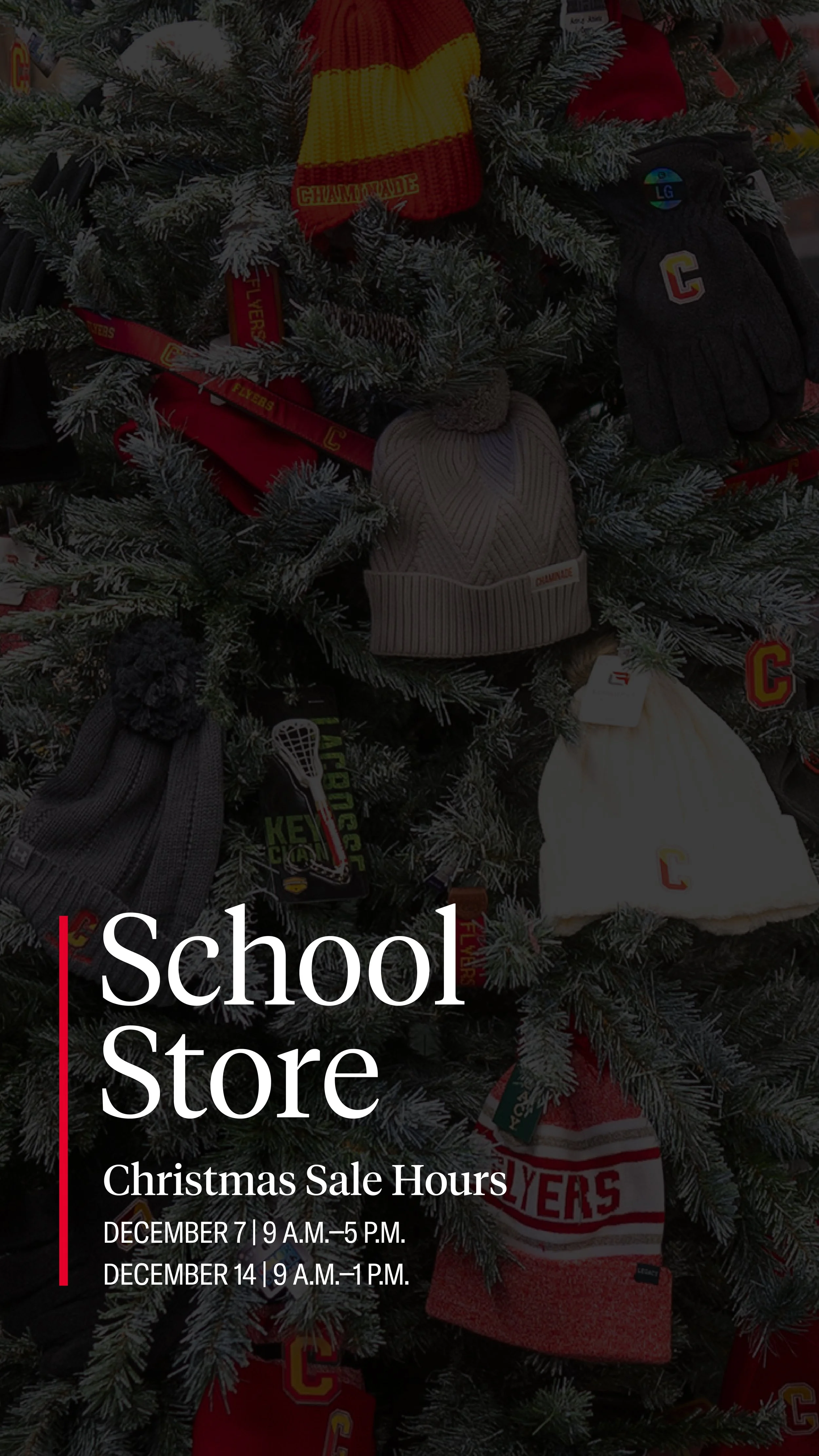 Schoolstorechristmas24IG.jpg