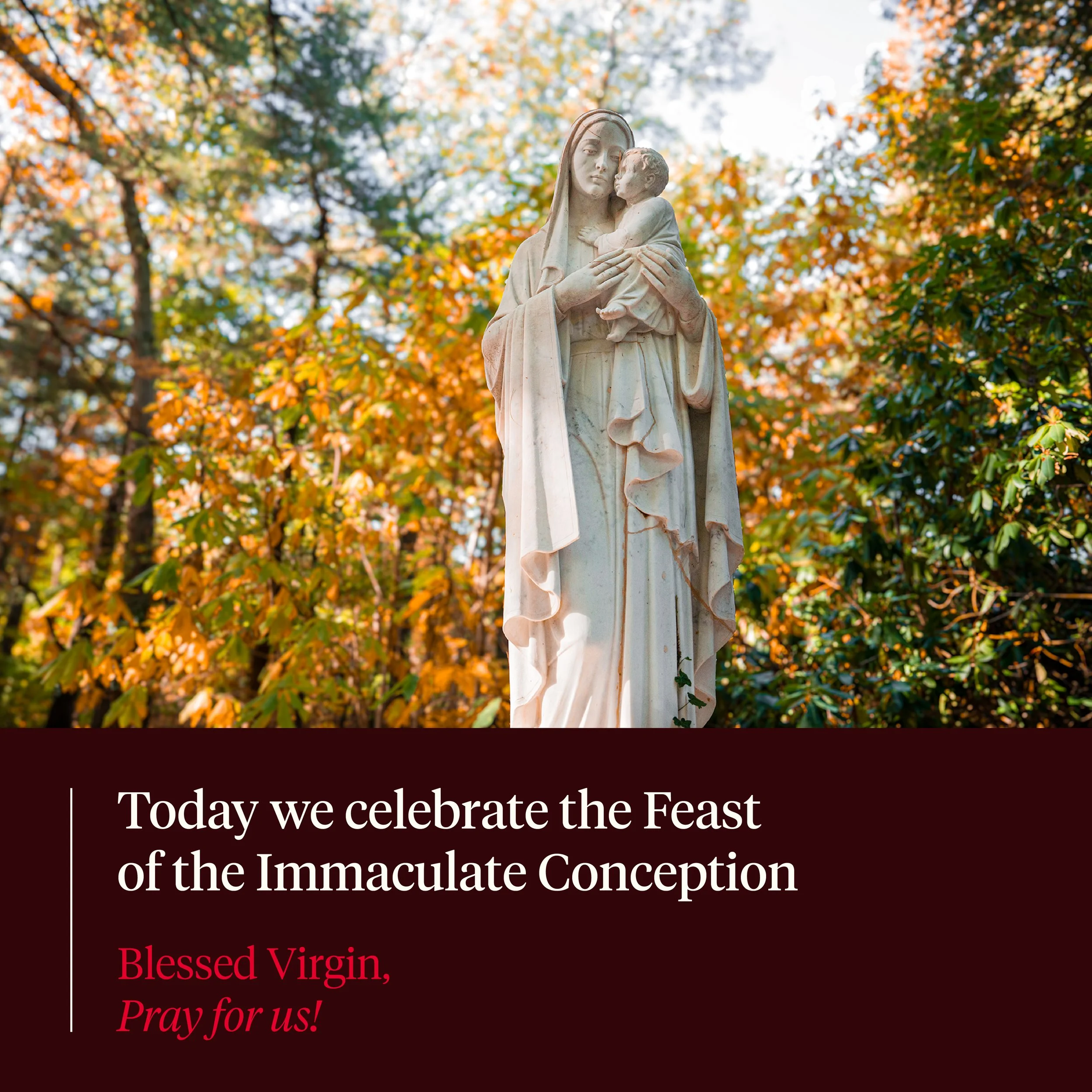 immaculate conception24sq.jpg