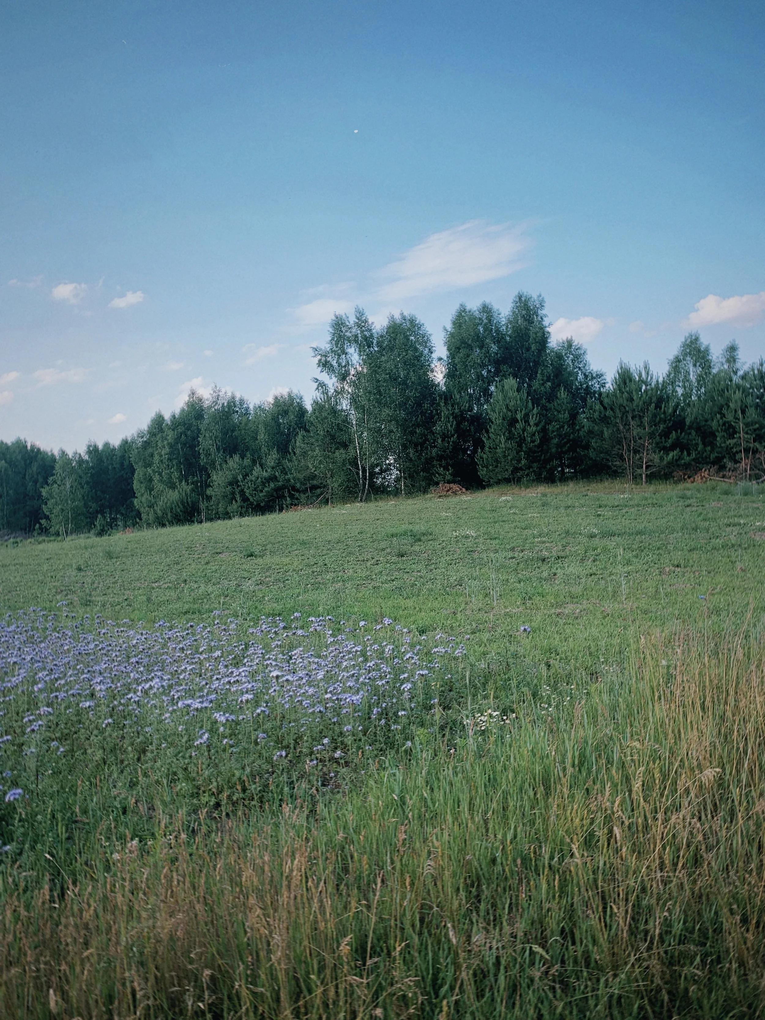 s67 2024-08-02 224355.018.jpg