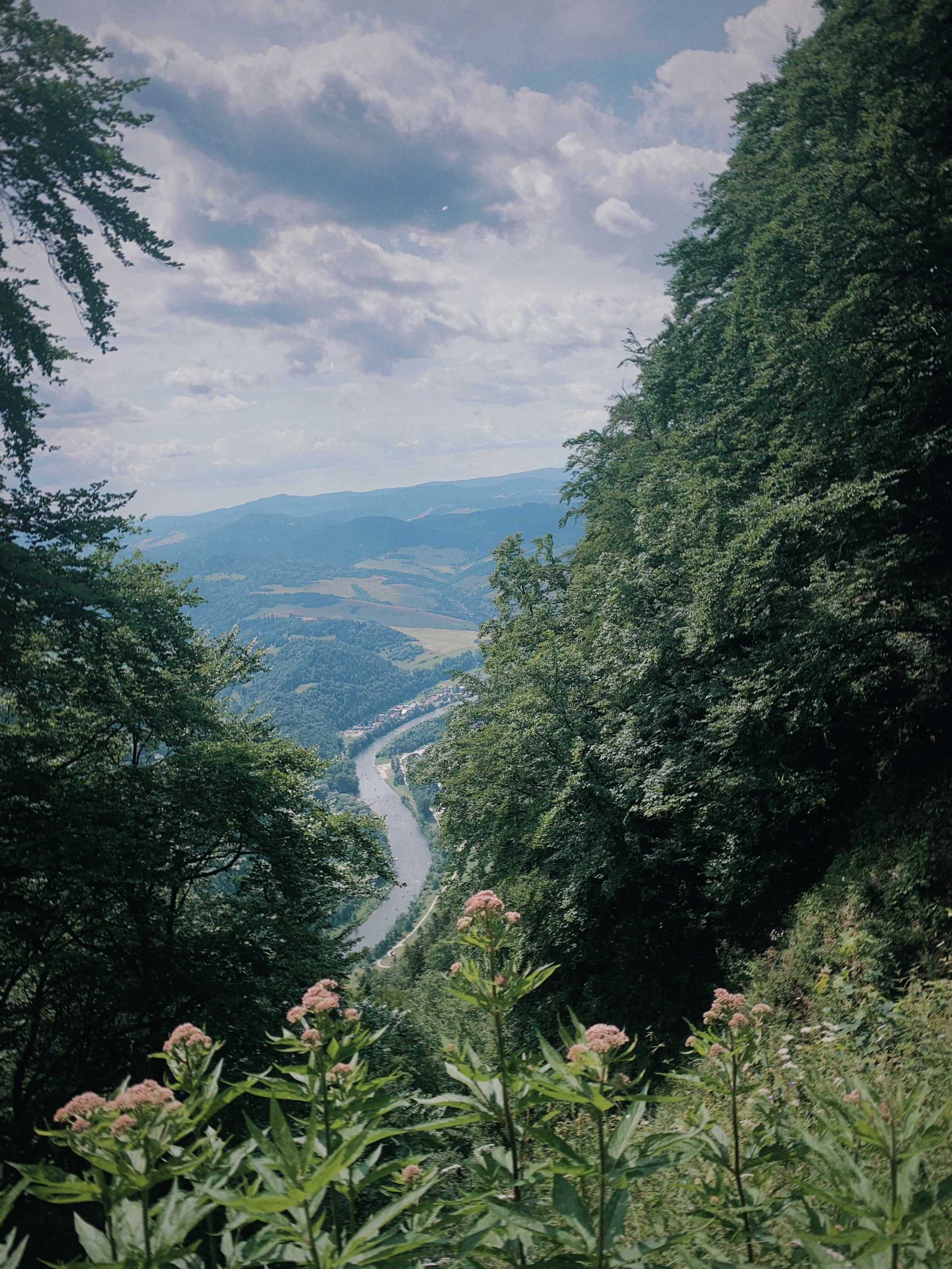 s67 2024-08-02 221603.626.jpg