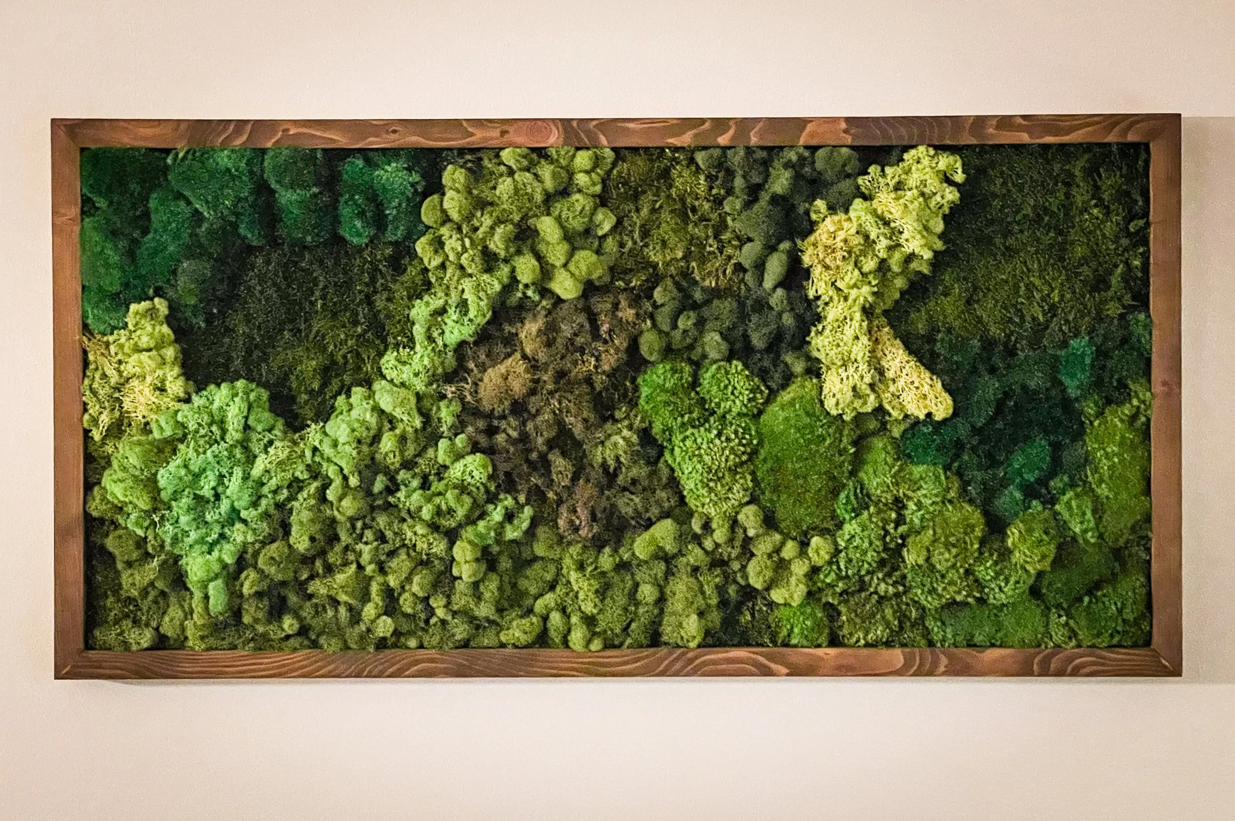 Moss Wall Art