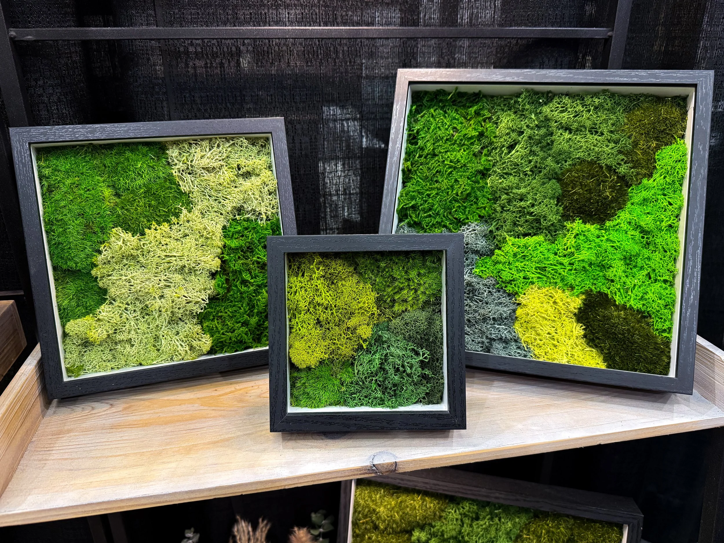 Moss Art