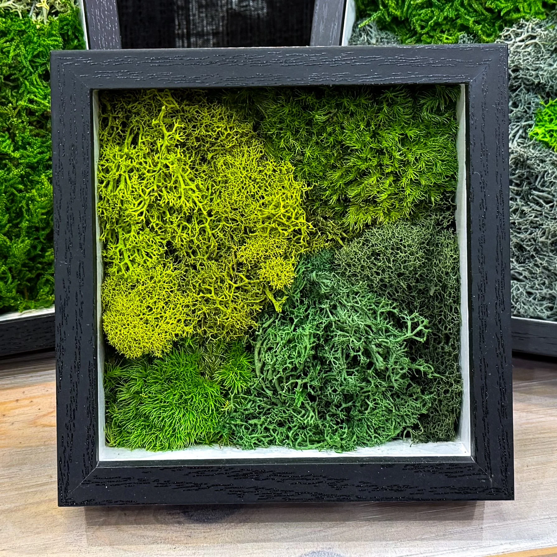 Moss Art
