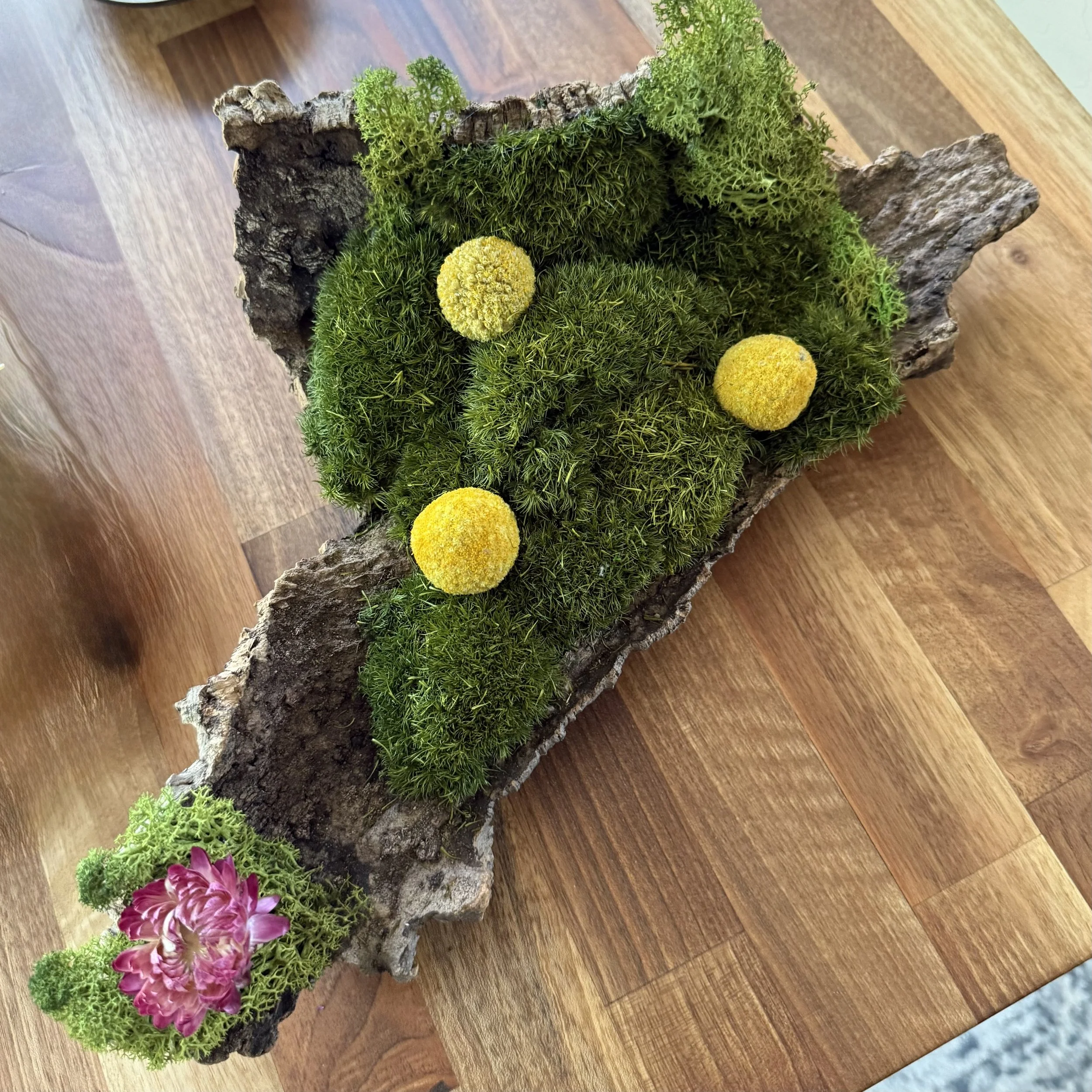Moss & Bark Tabletop Decor