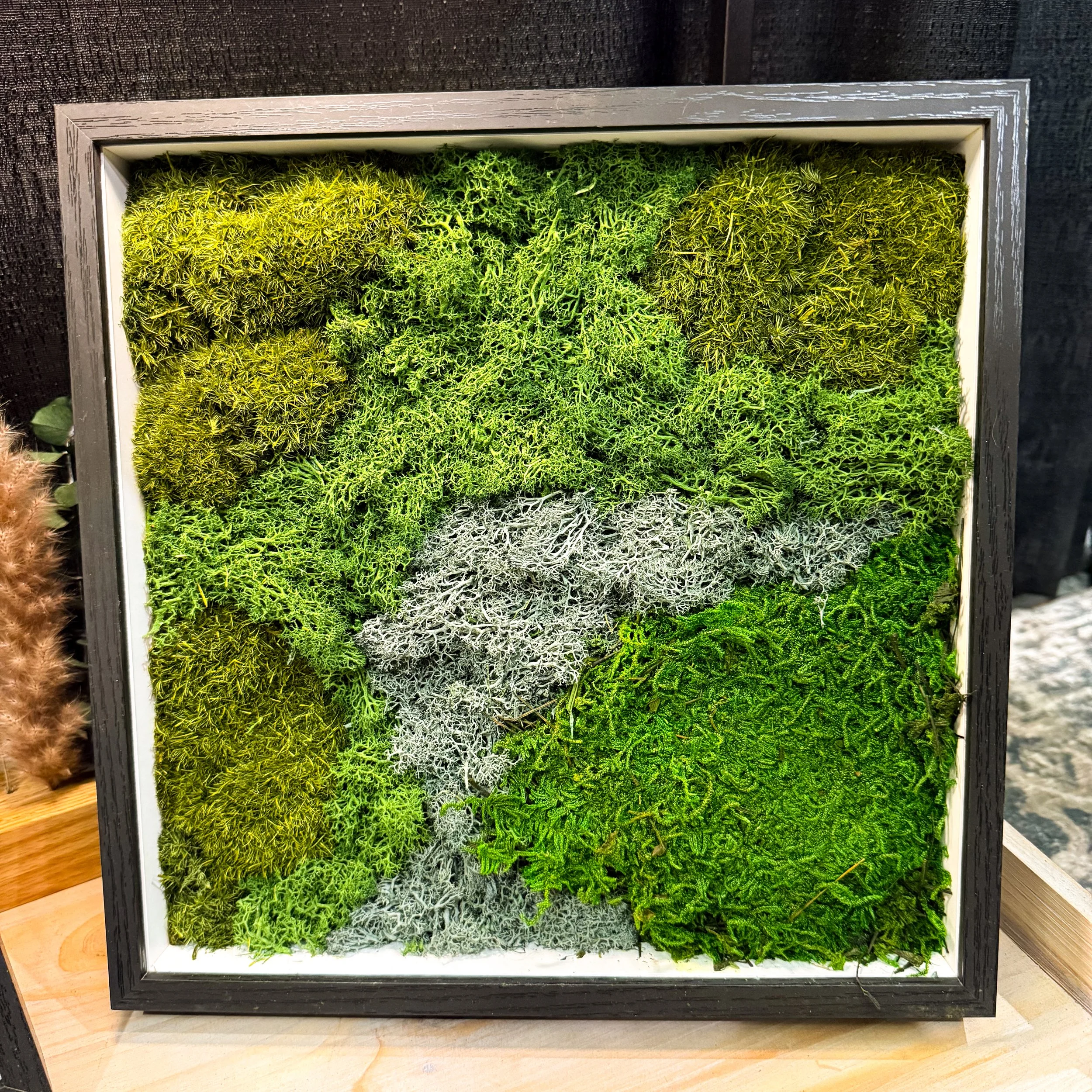 Moss Art