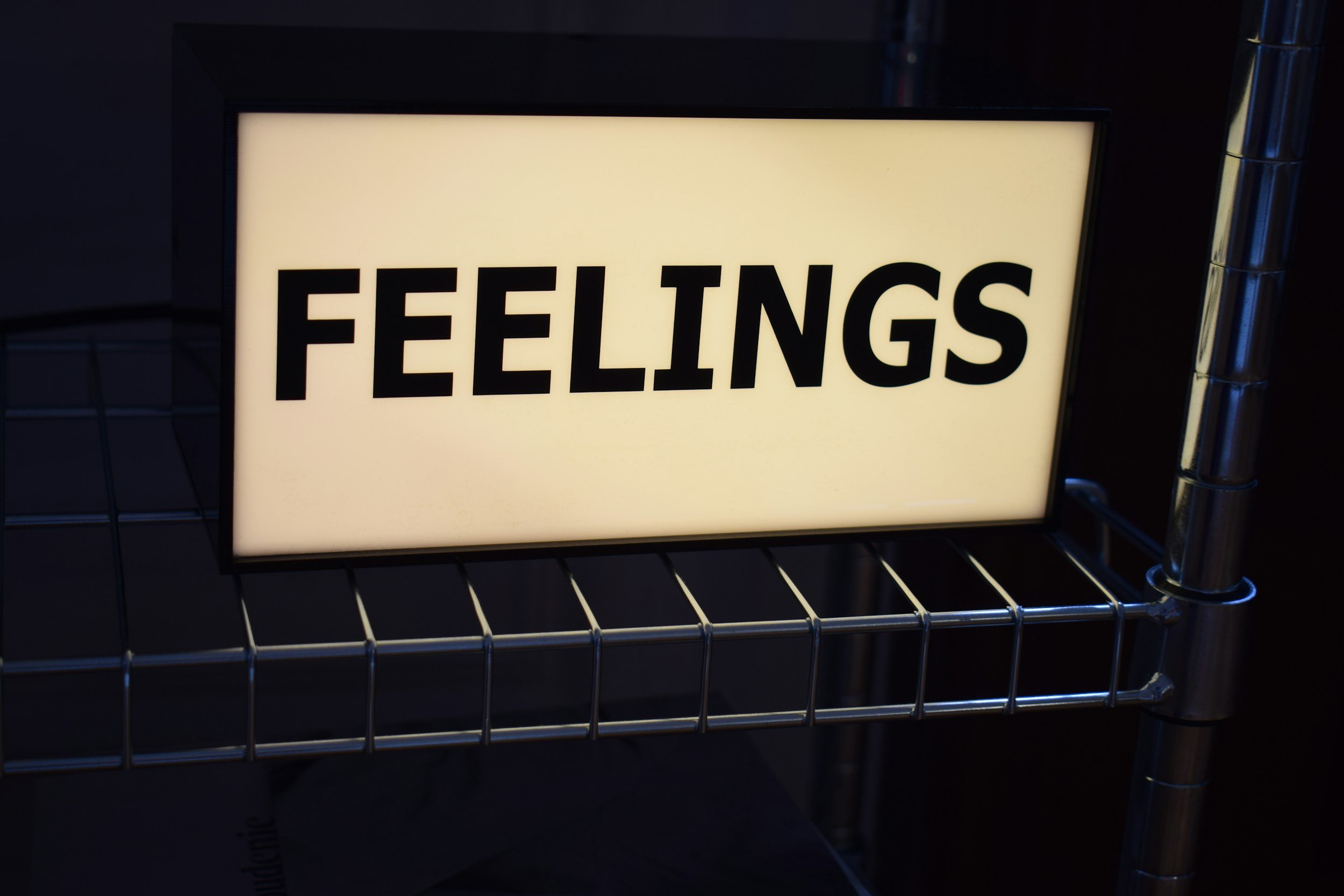 Adults Have Big Feelings Too: A Guide to Emotional Resilience